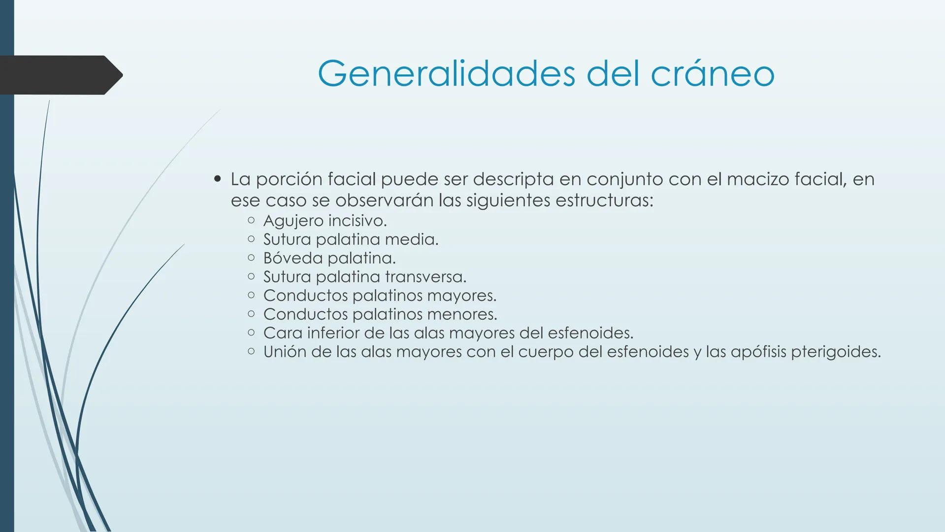 # HUESOS DE CARA Y
# CRANEO
UNIVERSIDAD GASTON DACHARY
Lic. Barrios, Renzo Nicolas HUESOS DE LA CABEZA
• El esqueleto de la
cabeza se divid