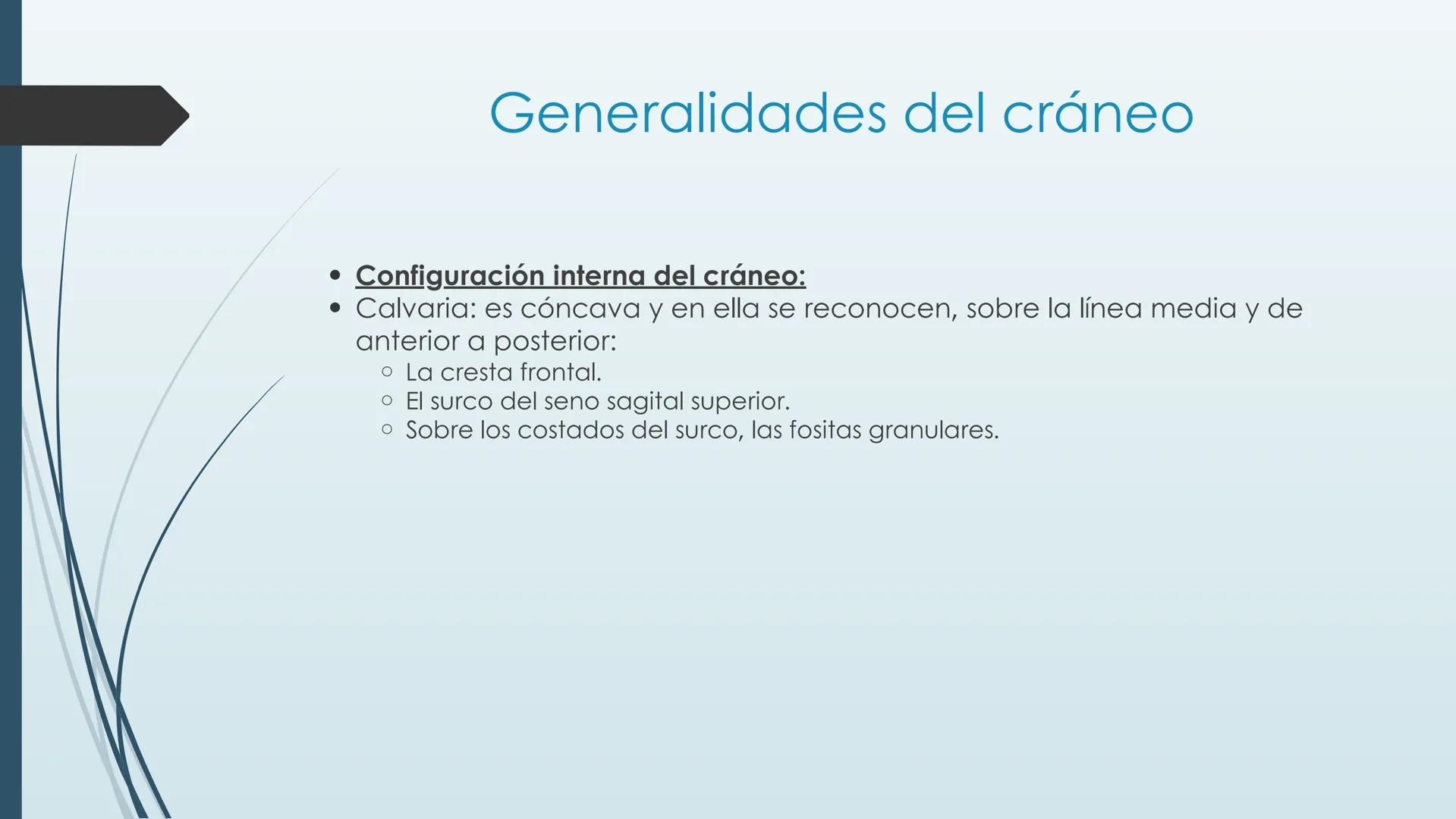# HUESOS DE CARA Y
# CRANEO
UNIVERSIDAD GASTON DACHARY
Lic. Barrios, Renzo Nicolas HUESOS DE LA CABEZA
• El esqueleto de la
cabeza se divid