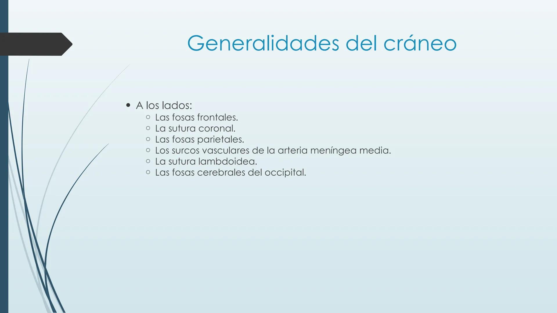 # HUESOS DE CARA Y
# CRANEO
UNIVERSIDAD GASTON DACHARY
Lic. Barrios, Renzo Nicolas HUESOS DE LA CABEZA
• El esqueleto de la
cabeza se divid