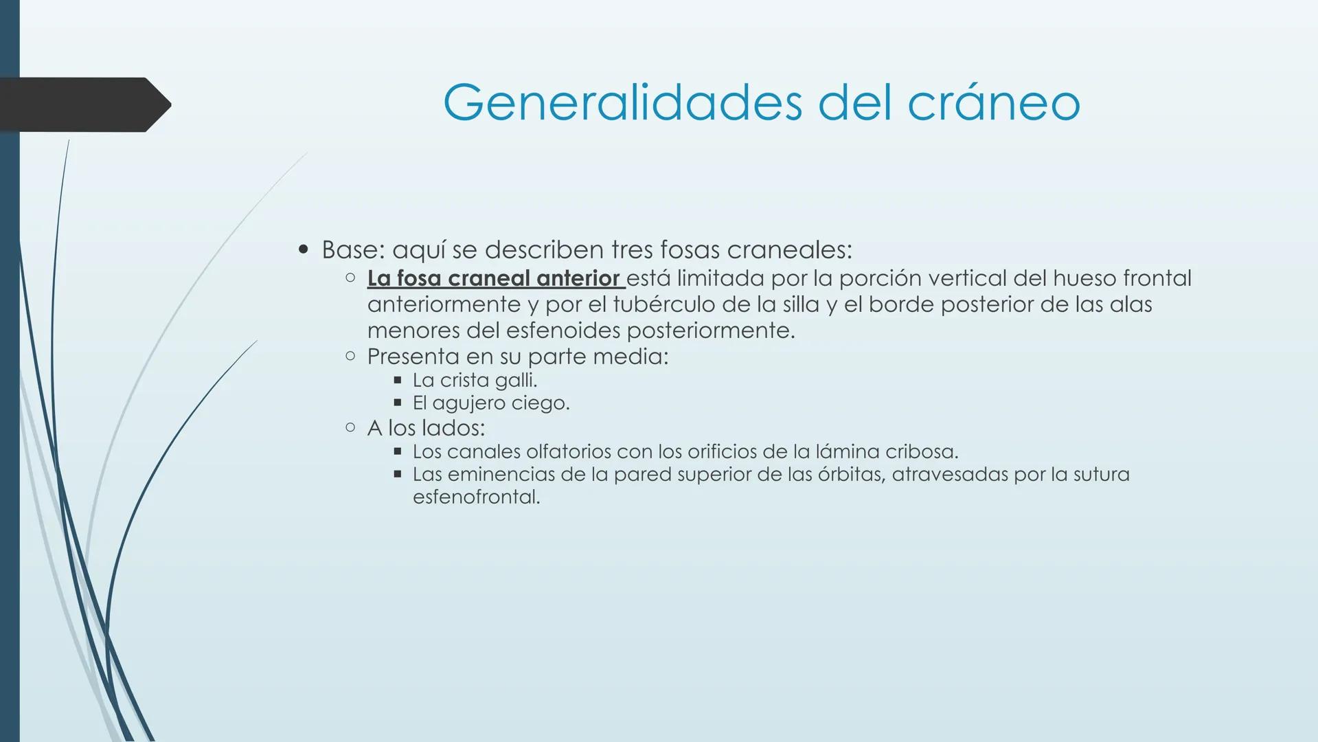 # HUESOS DE CARA Y
# CRANEO
UNIVERSIDAD GASTON DACHARY
Lic. Barrios, Renzo Nicolas HUESOS DE LA CABEZA
• El esqueleto de la
cabeza se divid