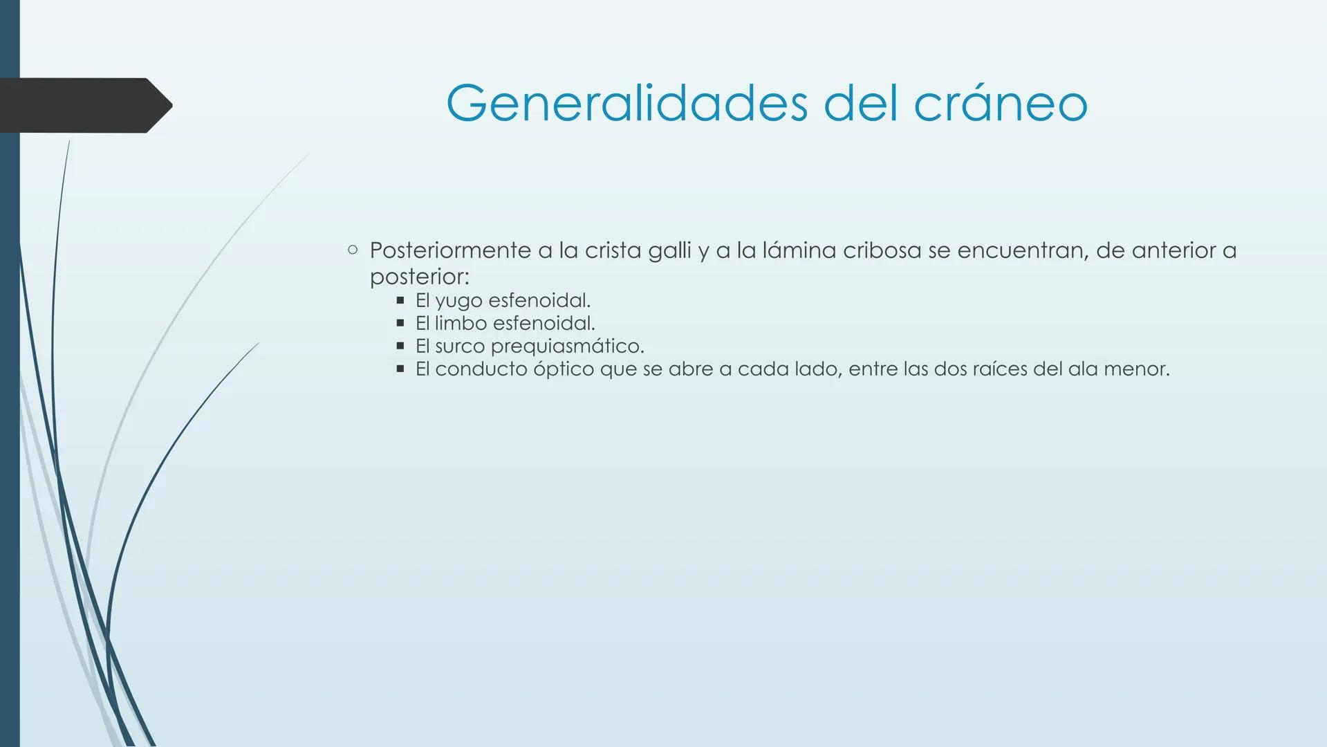 # HUESOS DE CARA Y
# CRANEO
UNIVERSIDAD GASTON DACHARY
Lic. Barrios, Renzo Nicolas HUESOS DE LA CABEZA
• El esqueleto de la
cabeza se divid