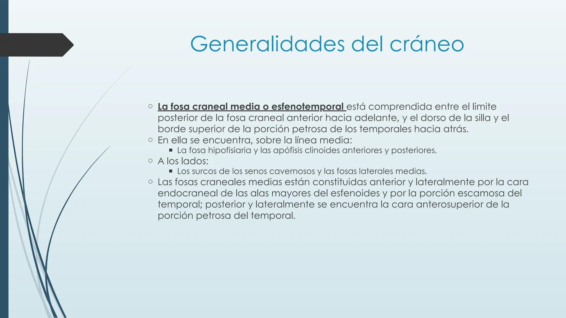 # HUESOS DE CARA Y
# CRANEO
UNIVERSIDAD GASTON DACHARY
Lic. Barrios, Renzo Nicolas HUESOS DE LA CABEZA
• El esqueleto de la
cabeza se divid