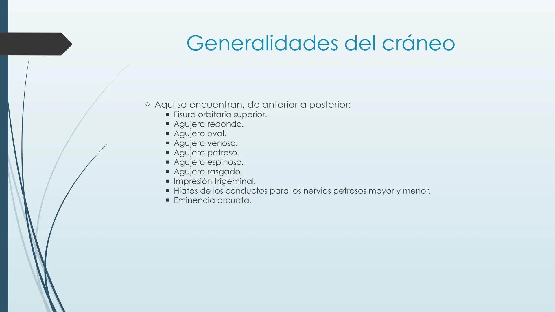 # HUESOS DE CARA Y
# CRANEO
UNIVERSIDAD GASTON DACHARY
Lic. Barrios, Renzo Nicolas HUESOS DE LA CABEZA
• El esqueleto de la
cabeza se divid