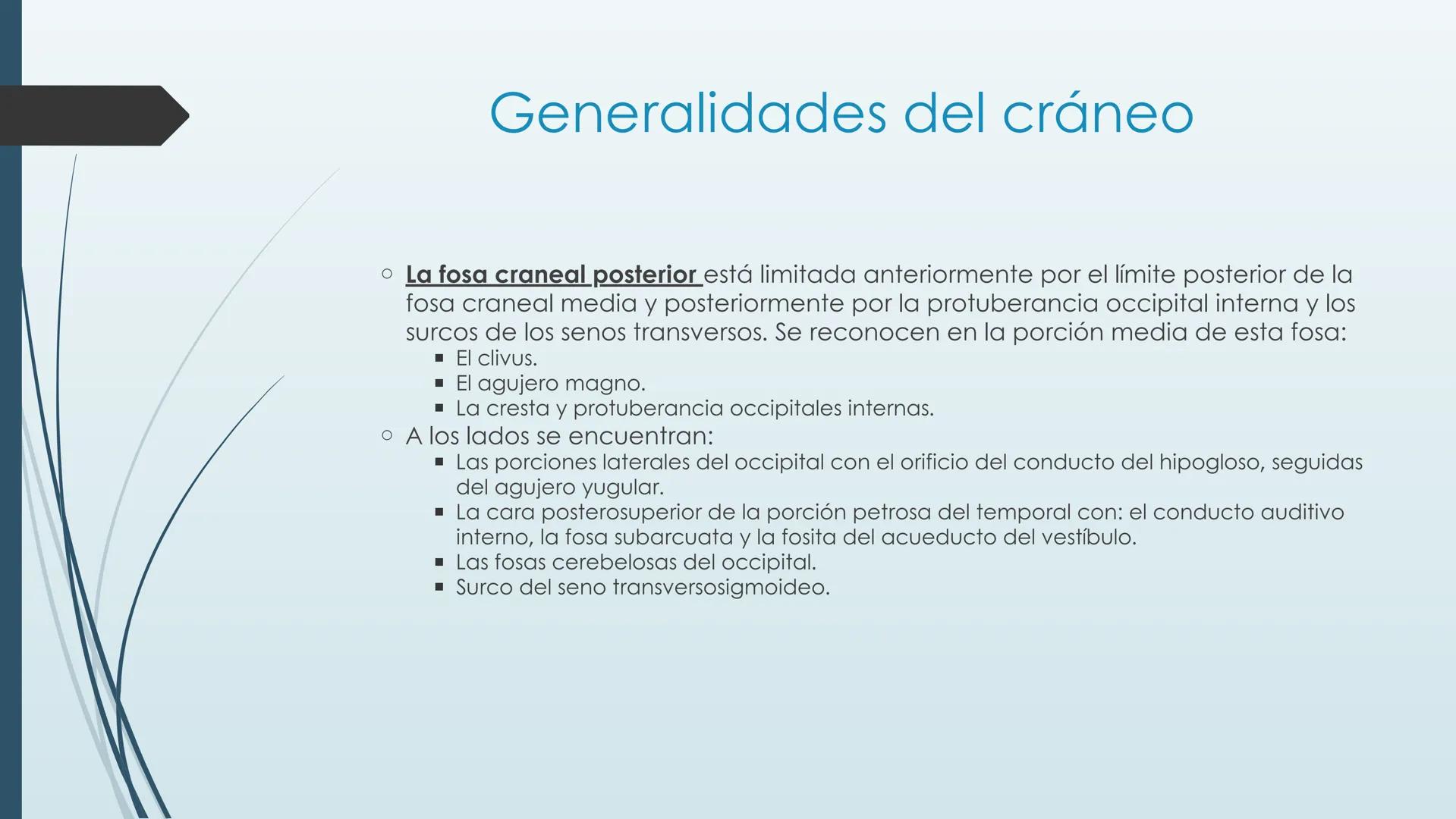 # HUESOS DE CARA Y
# CRANEO
UNIVERSIDAD GASTON DACHARY
Lic. Barrios, Renzo Nicolas HUESOS DE LA CABEZA
• El esqueleto de la
cabeza se divid