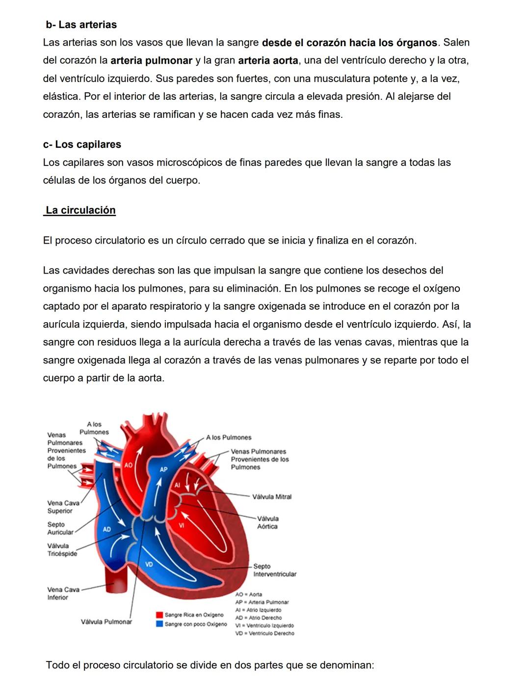 CATEDRA: FARMACOLOGIA Y PRACTICAS
PROFESIONALES II
Profesora
Farm. Licenciada en Cs. Farmacéuticas
MARIA CRISTINA FASCIA
ΑΝΟ 2023 # UNIDAD N