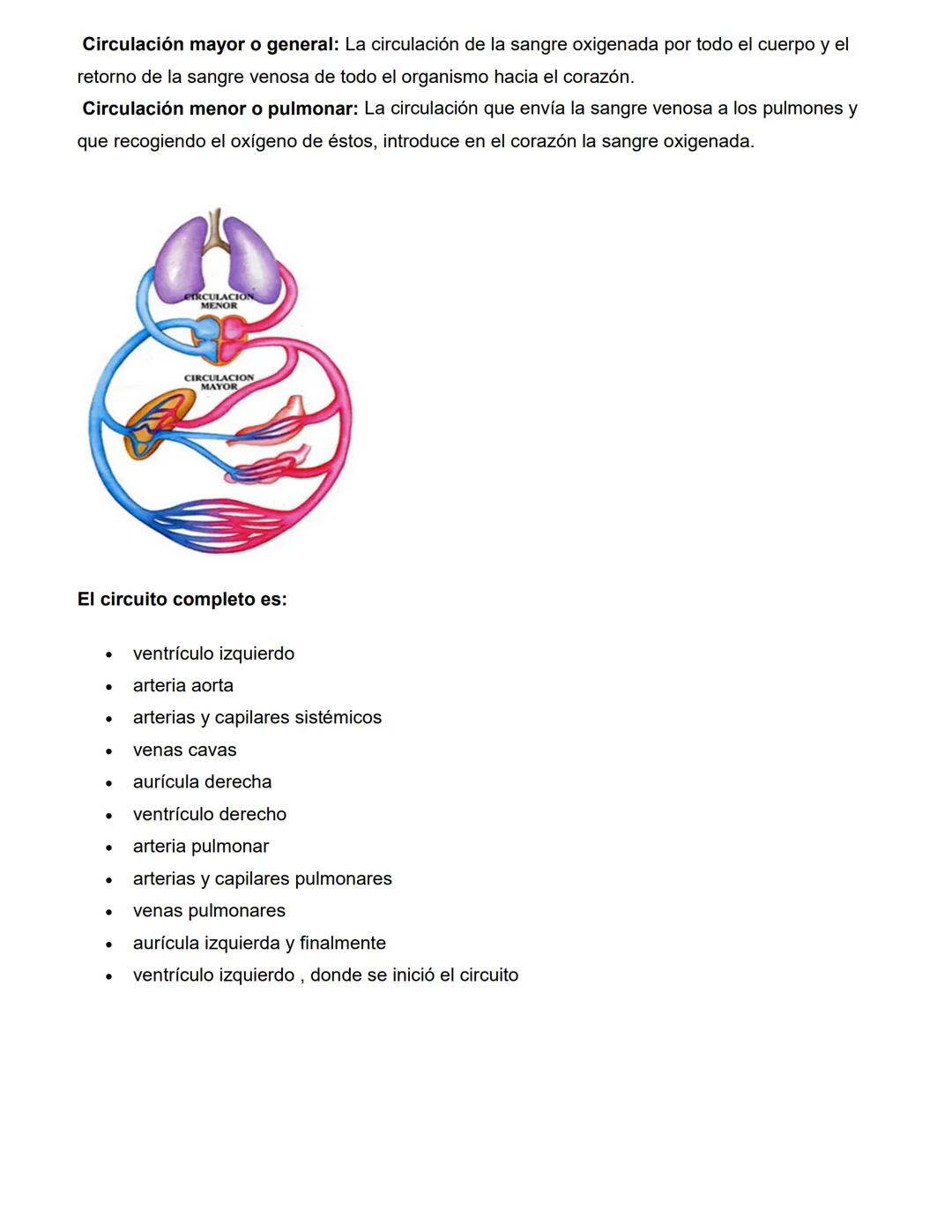 CATEDRA: FARMACOLOGIA Y PRACTICAS
PROFESIONALES II
Profesora
Farm. Licenciada en Cs. Farmacéuticas
MARIA CRISTINA FASCIA
ΑΝΟ 2023 # UNIDAD N