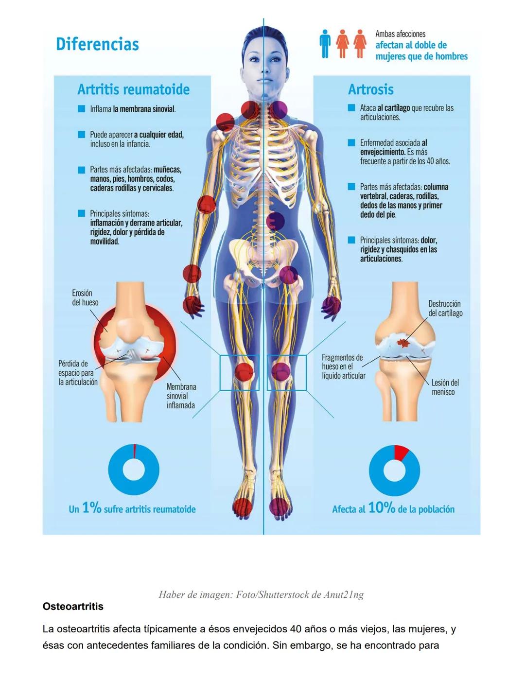 CATEDRA: FARMACOLOGIA Y PRACTICAS
PROFESIONALES II
Profesora
Farm. Licenciada en Cs. Farmacéuticas
MARIA CRISTINA FASCIA
ΑΝΟ 2023 # UNIDAD N