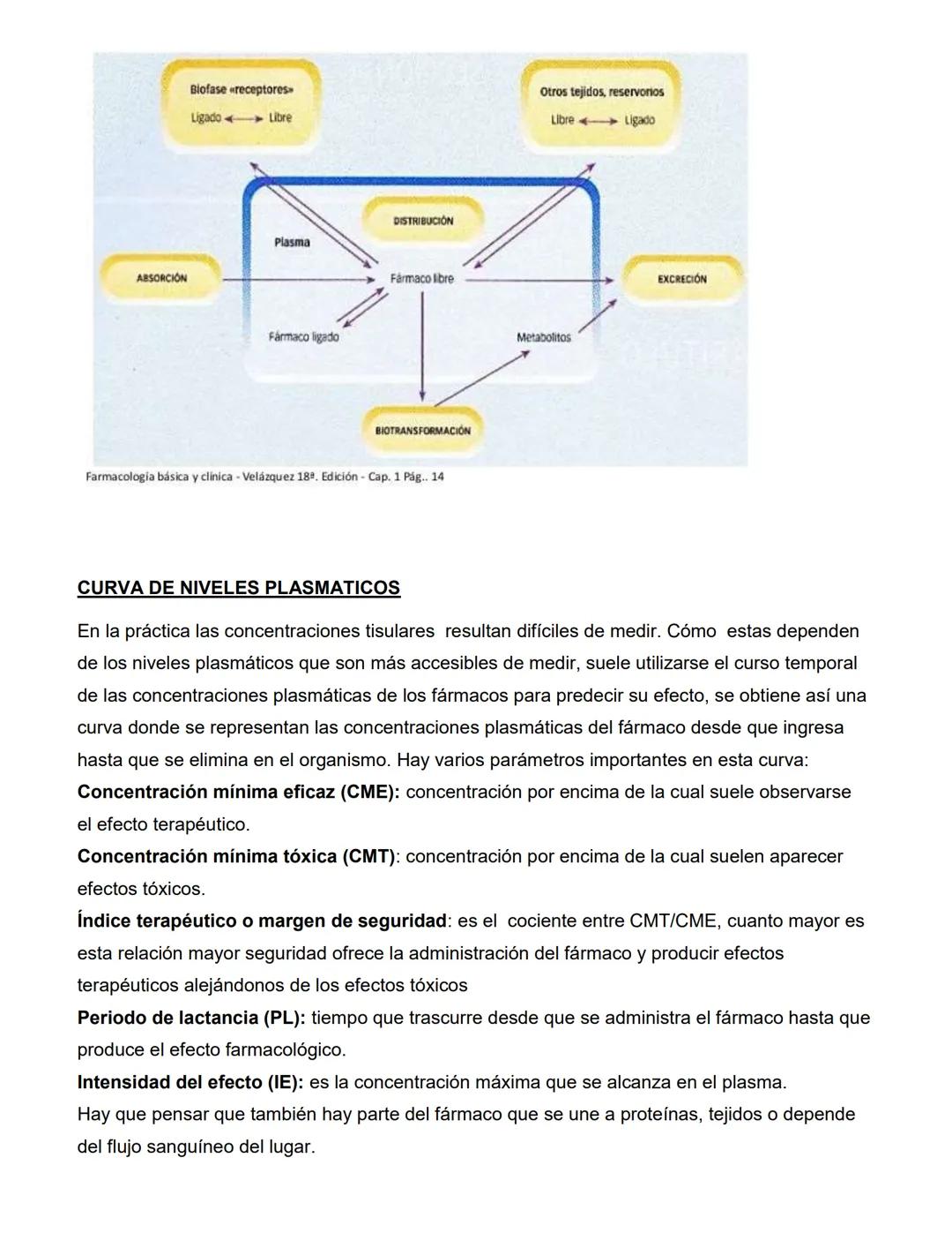 CATEDRA: FARMACOLOGIA Y PRACTICAS
PROFESIONALES II
Profesora
Farm. Licenciada en Cs. Farmacéuticas
MARIA CRISTINA FASCIA
ΑΝΟ 2023 # UNIDAD N
