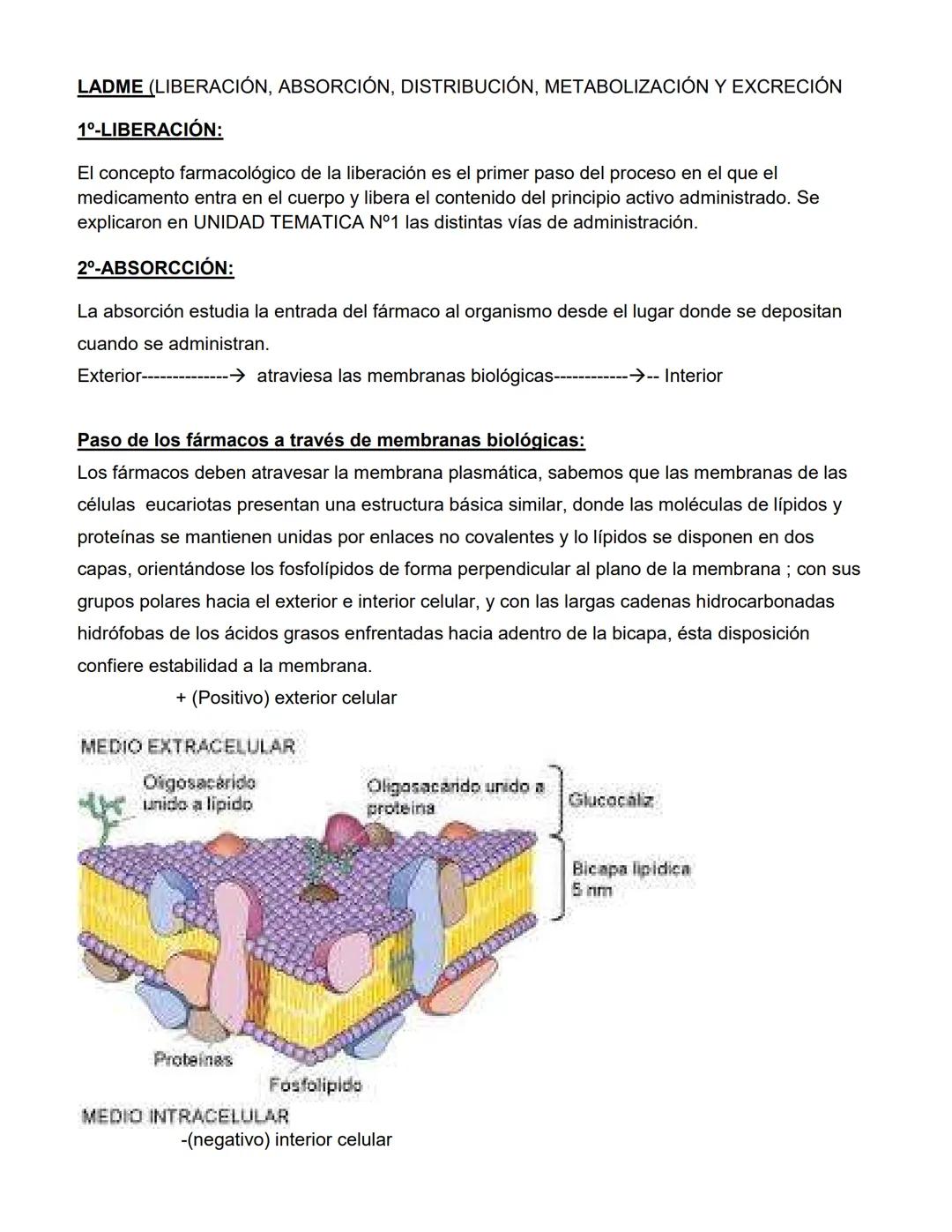 CATEDRA: FARMACOLOGIA Y PRACTICAS
PROFESIONALES II
Profesora
Farm. Licenciada en Cs. Farmacéuticas
MARIA CRISTINA FASCIA
ΑΝΟ 2023 # UNIDAD N