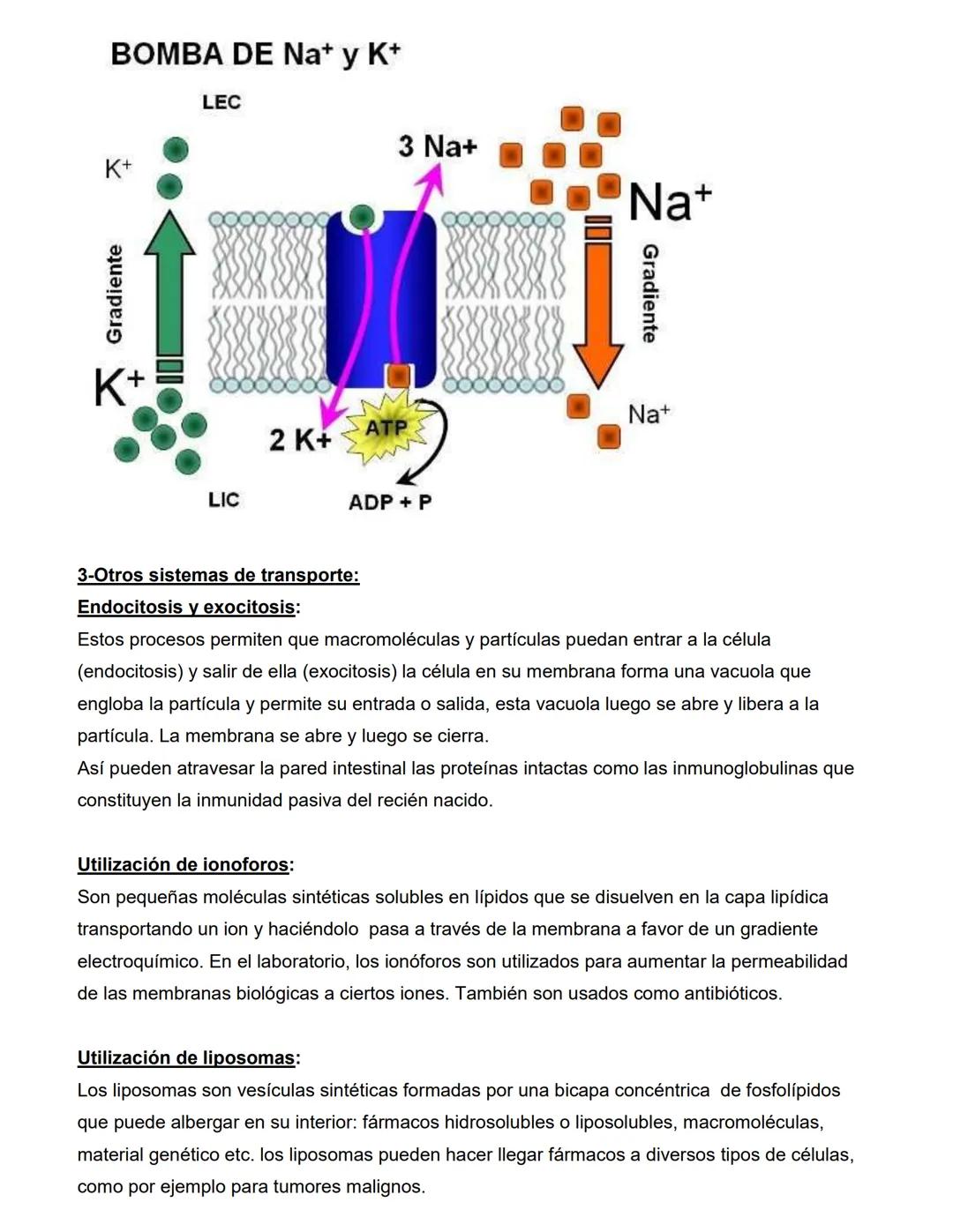 CATEDRA: FARMACOLOGIA Y PRACTICAS
PROFESIONALES II
Profesora
Farm. Licenciada en Cs. Farmacéuticas
MARIA CRISTINA FASCIA
ΑΝΟ 2023 # UNIDAD N