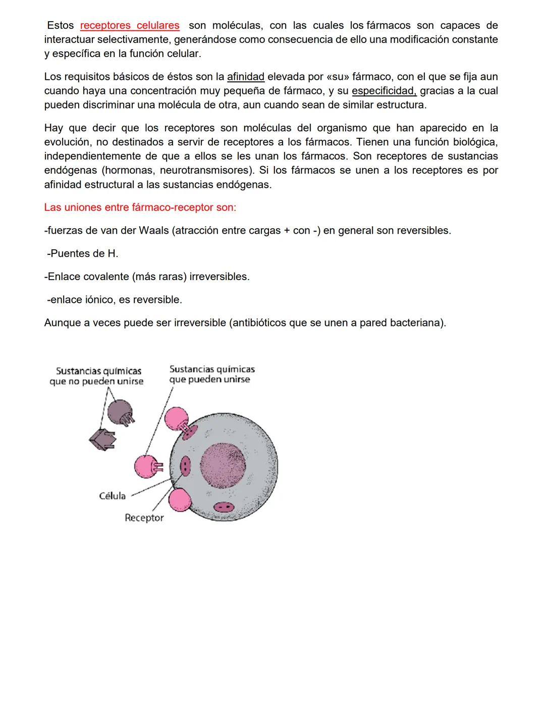 CATEDRA: FARMACOLOGIA Y PRACTICAS
PROFESIONALES II
Profesora
Farm. Licenciada en Cs. Farmacéuticas
MARIA CRISTINA FASCIA
ΑΝΟ 2023 # UNIDAD N
