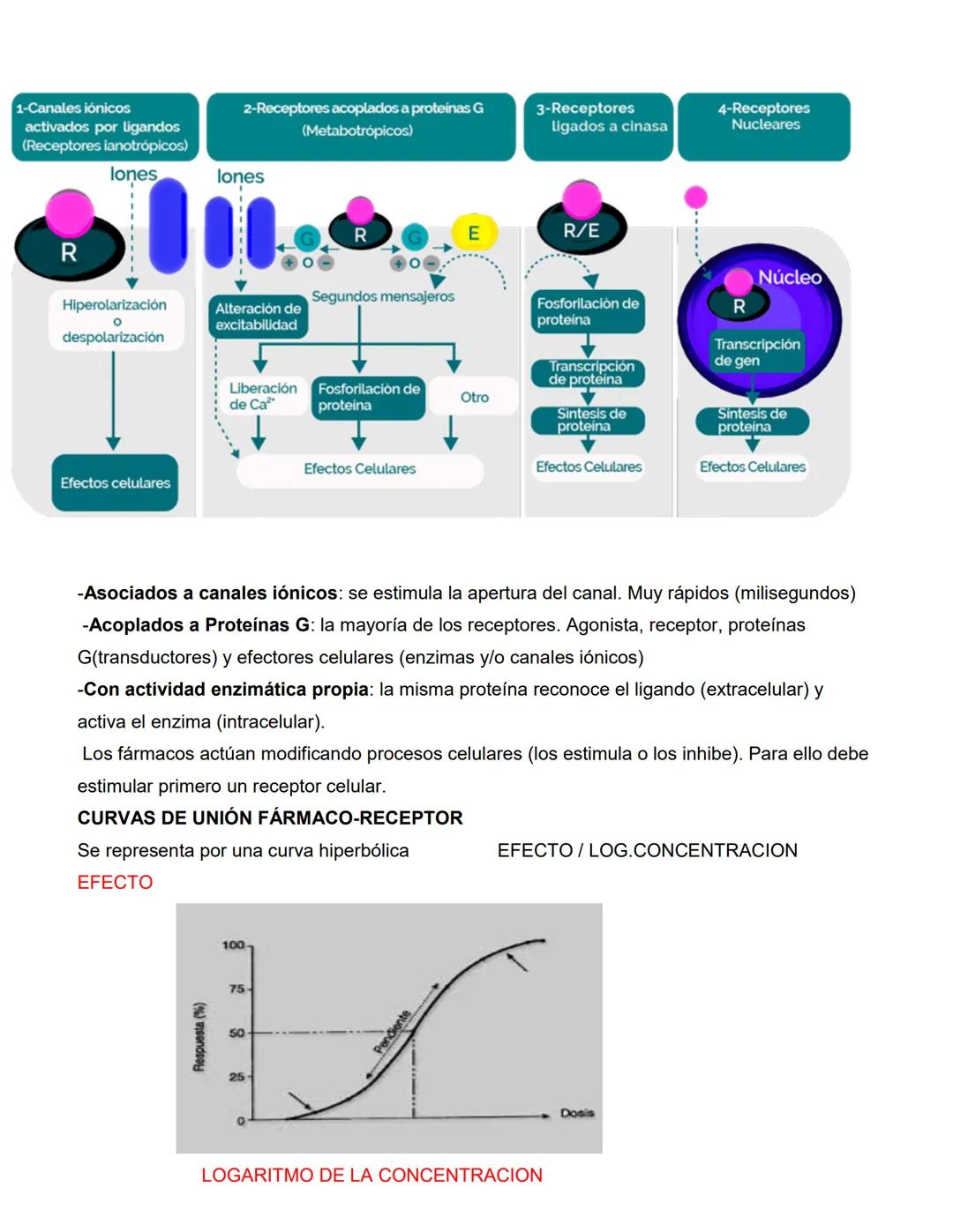 CATEDRA: FARMACOLOGIA Y PRACTICAS
PROFESIONALES II
Profesora
Farm. Licenciada en Cs. Farmacéuticas
MARIA CRISTINA FASCIA
ΑΝΟ 2023 # UNIDAD N