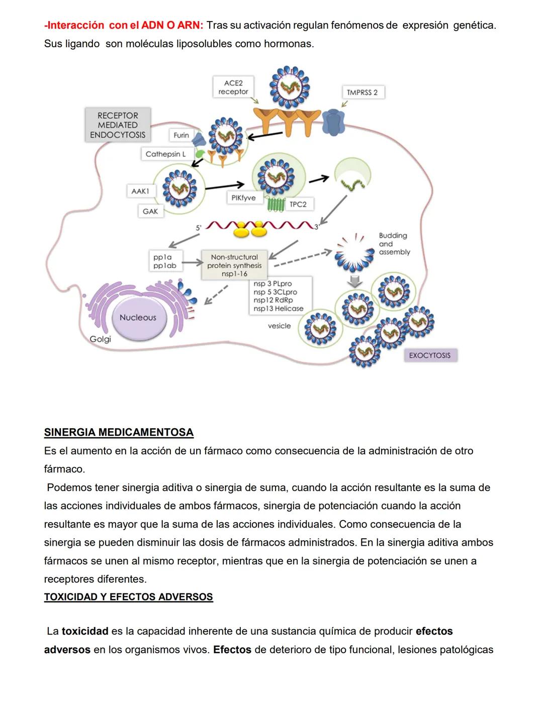 CATEDRA: FARMACOLOGIA Y PRACTICAS
PROFESIONALES II
Profesora
Farm. Licenciada en Cs. Farmacéuticas
MARIA CRISTINA FASCIA
ΑΝΟ 2023 # UNIDAD N