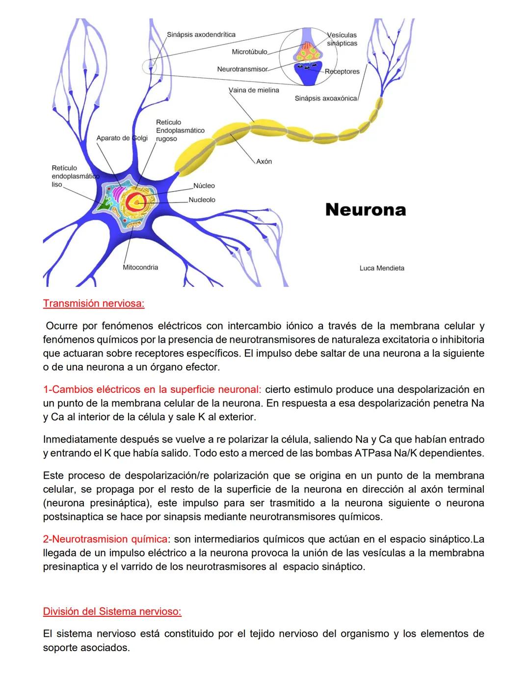 CATEDRA: FARMACOLOGIA Y PRACTICAS
PROFESIONALES II
Profesora
Farm. Licenciada en Cs. Farmacéuticas
MARIA CRISTINA FASCIA
ΑΝΟ 2023 # UNIDAD N