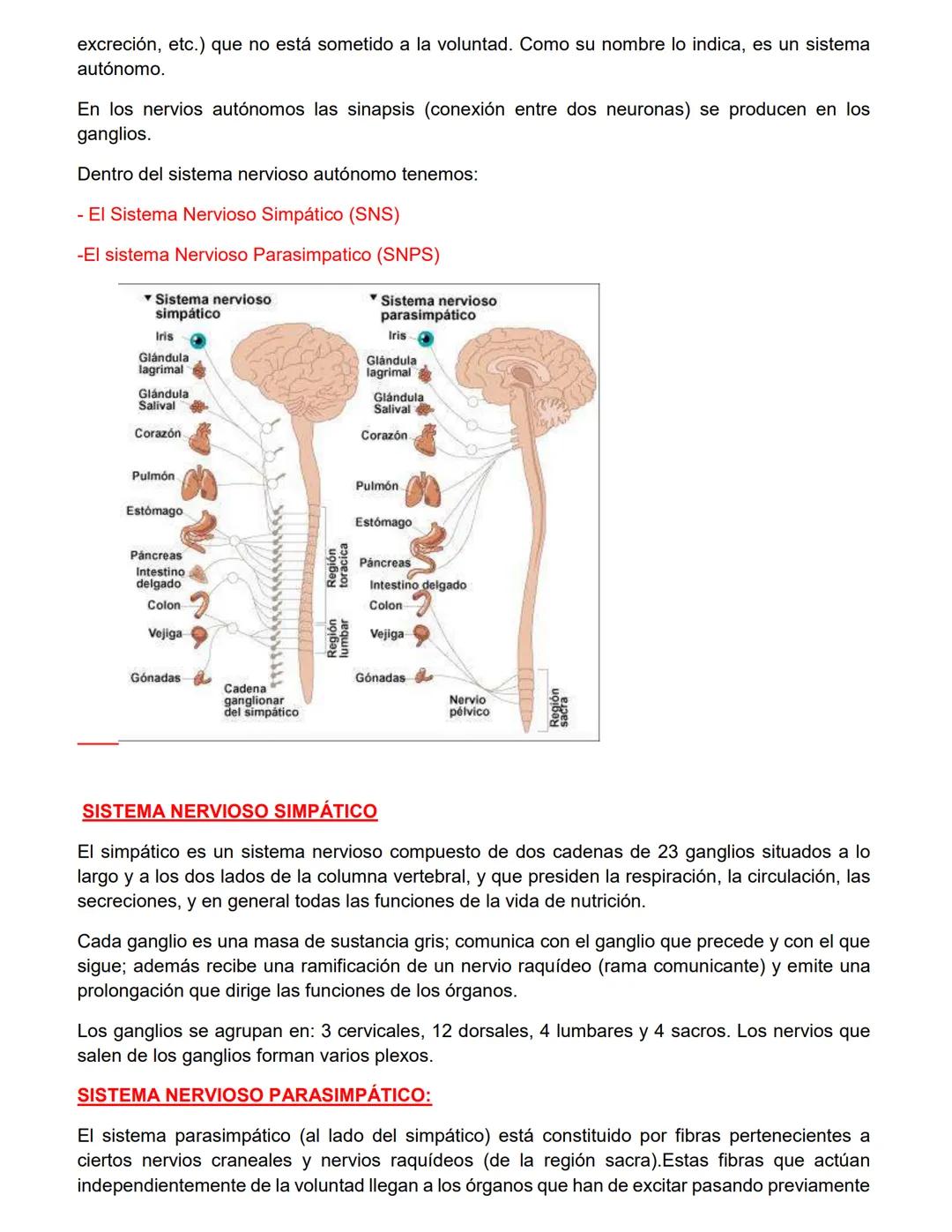 CATEDRA: FARMACOLOGIA Y PRACTICAS
PROFESIONALES II
Profesora
Farm. Licenciada en Cs. Farmacéuticas
MARIA CRISTINA FASCIA
ΑΝΟ 2023 # UNIDAD N