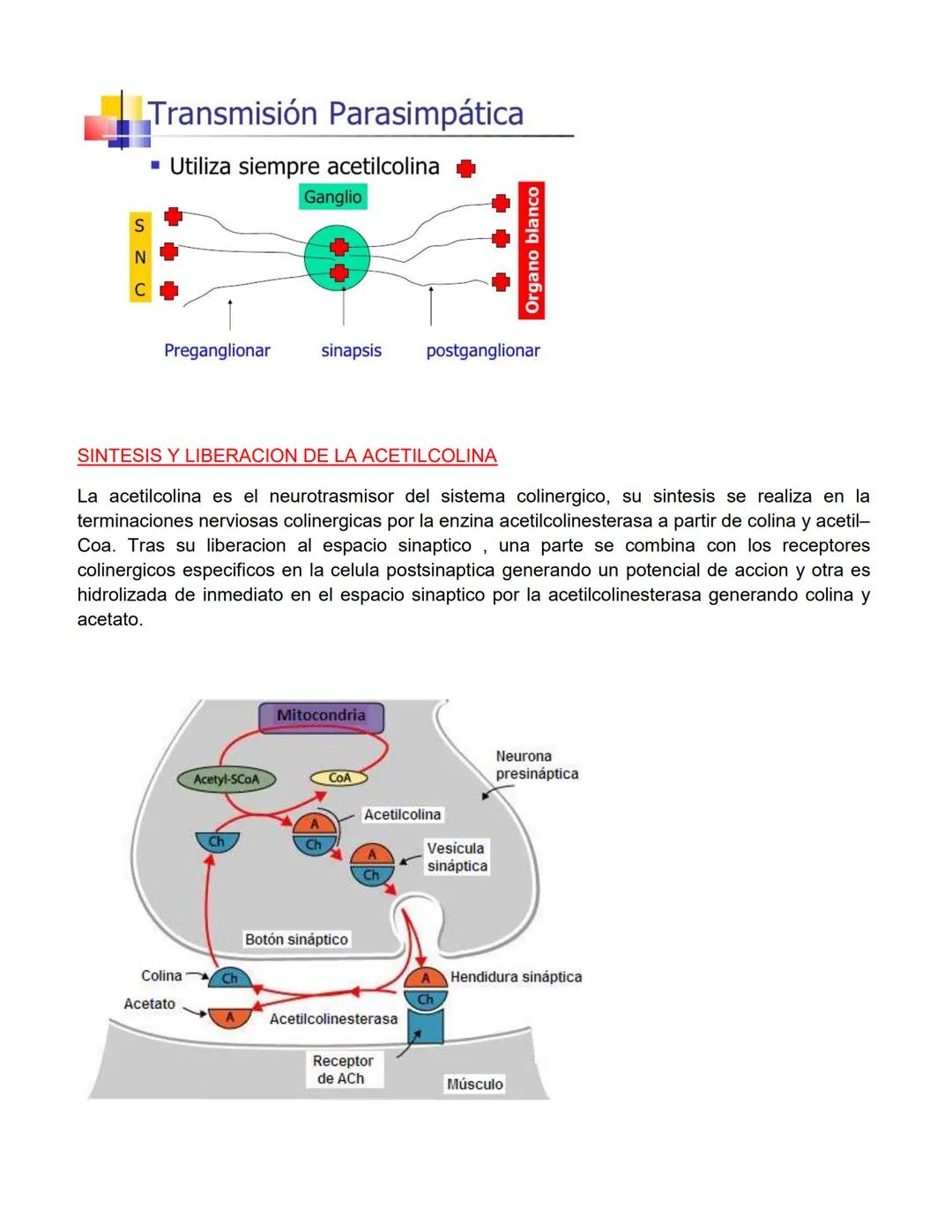 CATEDRA: FARMACOLOGIA Y PRACTICAS
PROFESIONALES II
Profesora
Farm. Licenciada en Cs. Farmacéuticas
MARIA CRISTINA FASCIA
ΑΝΟ 2023 # UNIDAD N
