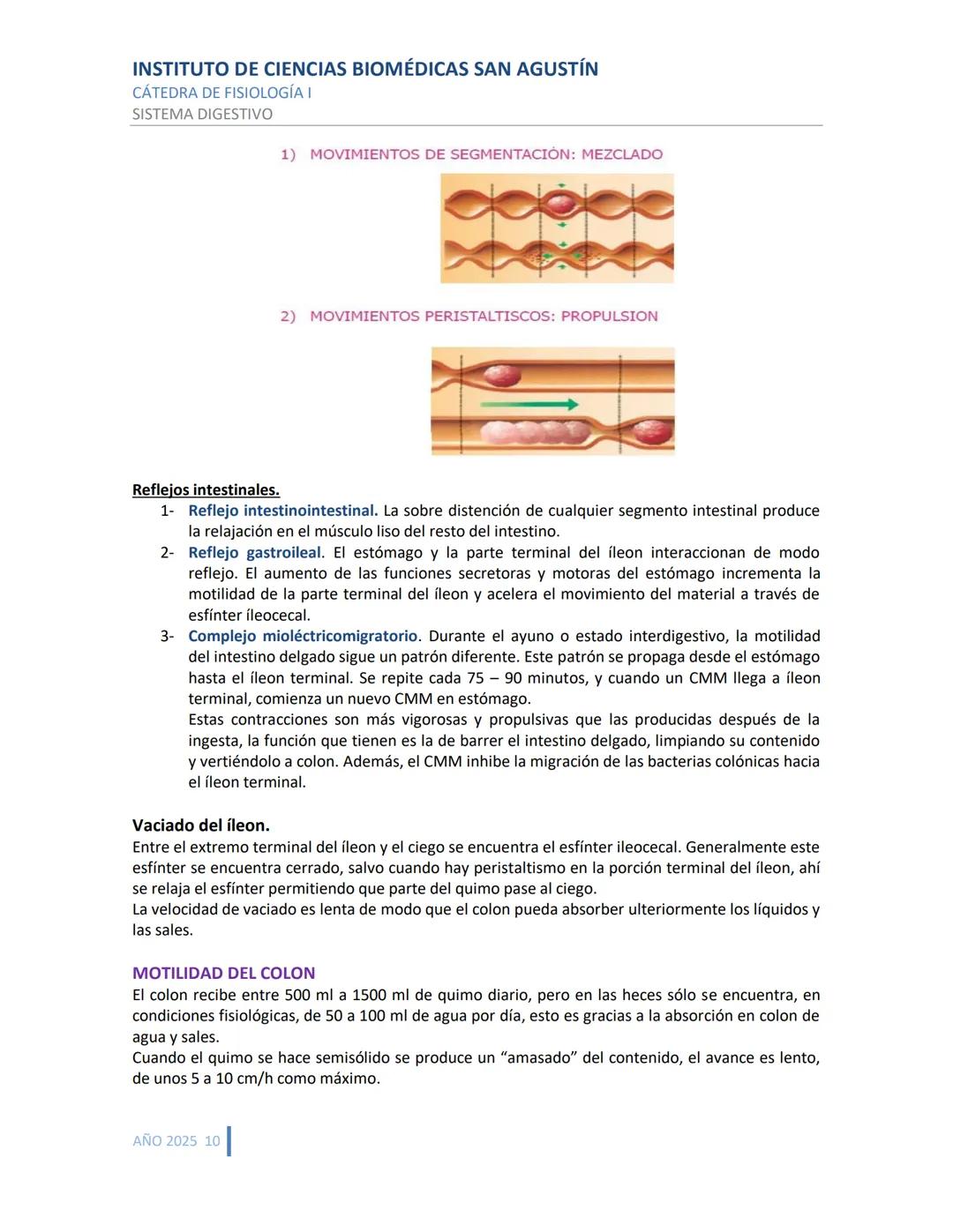 INSTITUTO DE CIENCIAS BIOMÉDICAS SAN AGUSTÍN
CÁTEDRA DE FISIOLOGÍA I
SISTEMA DIGESTIVO
SISTEMA DIGESTIVO
ESTRUCTURA Y FUNCIÓN GENERAL DEL TR