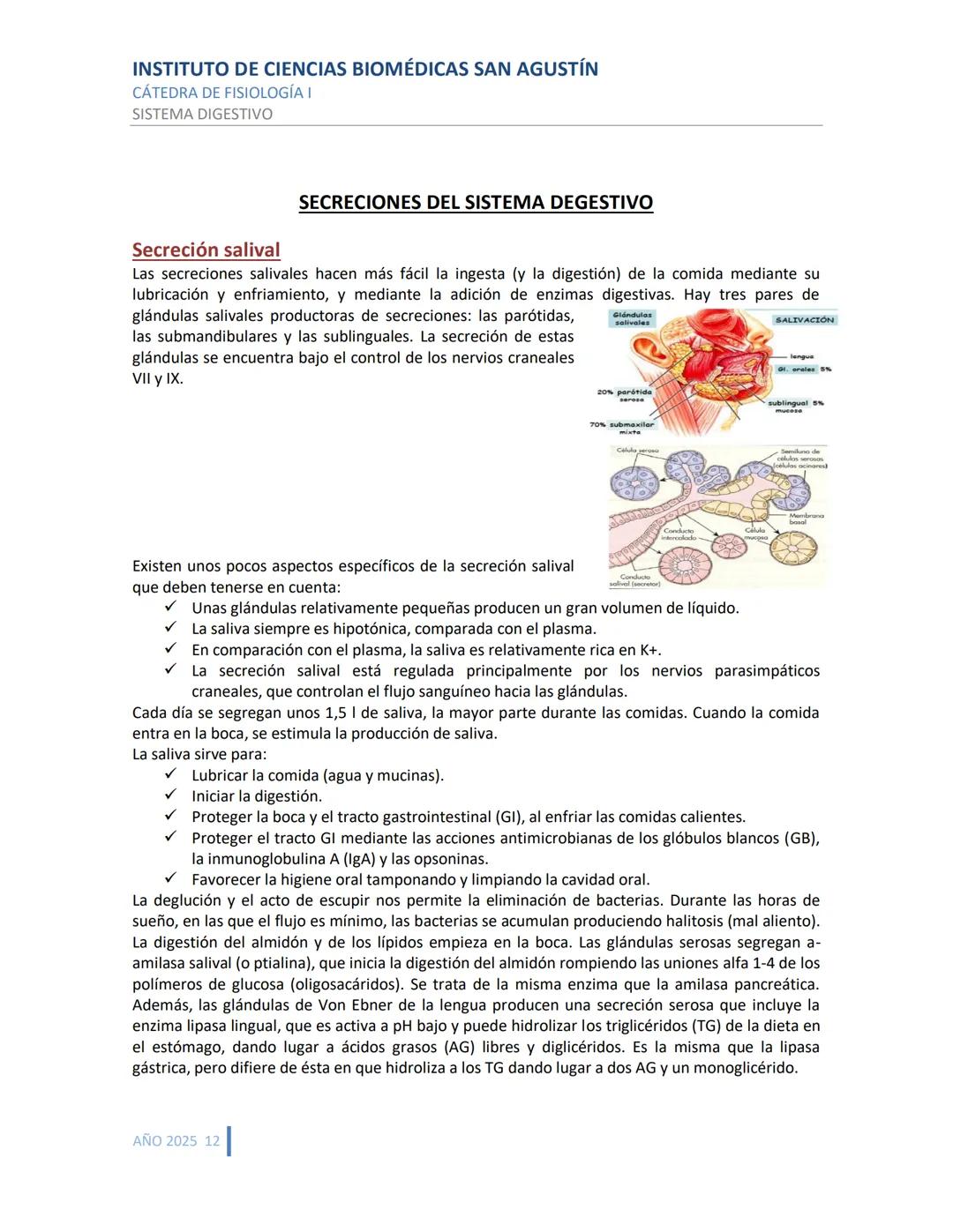 INSTITUTO DE CIENCIAS BIOMÉDICAS SAN AGUSTÍN
CÁTEDRA DE FISIOLOGÍA I
SISTEMA DIGESTIVO
SISTEMA DIGESTIVO
ESTRUCTURA Y FUNCIÓN GENERAL DEL TR