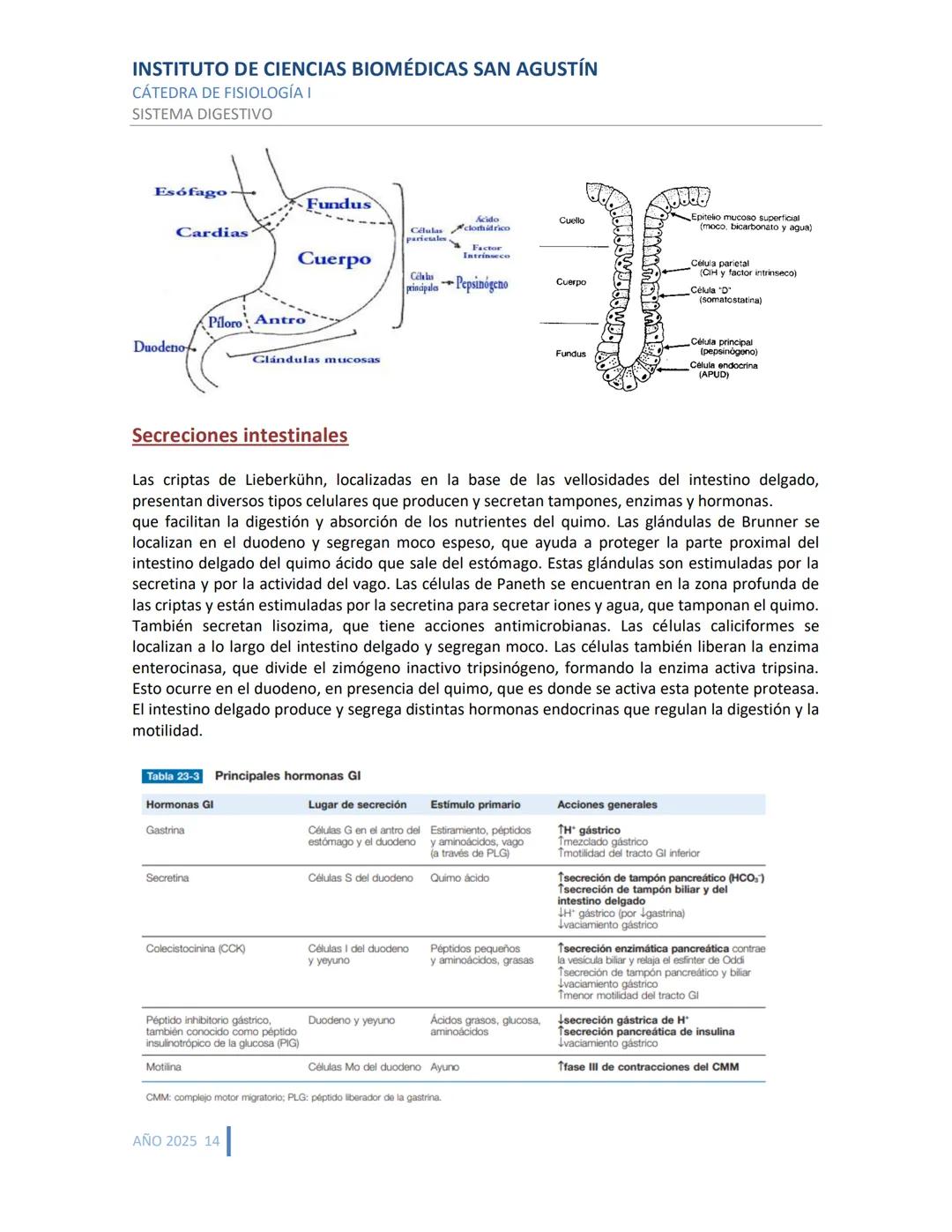 INSTITUTO DE CIENCIAS BIOMÉDICAS SAN AGUSTÍN
CÁTEDRA DE FISIOLOGÍA I
SISTEMA DIGESTIVO
SISTEMA DIGESTIVO
ESTRUCTURA Y FUNCIÓN GENERAL DEL TR