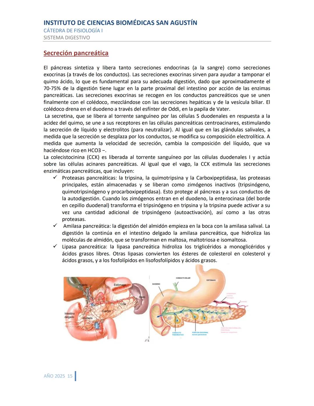 INSTITUTO DE CIENCIAS BIOMÉDICAS SAN AGUSTÍN
CÁTEDRA DE FISIOLOGÍA I
SISTEMA DIGESTIVO
SISTEMA DIGESTIVO
ESTRUCTURA Y FUNCIÓN GENERAL DEL TR