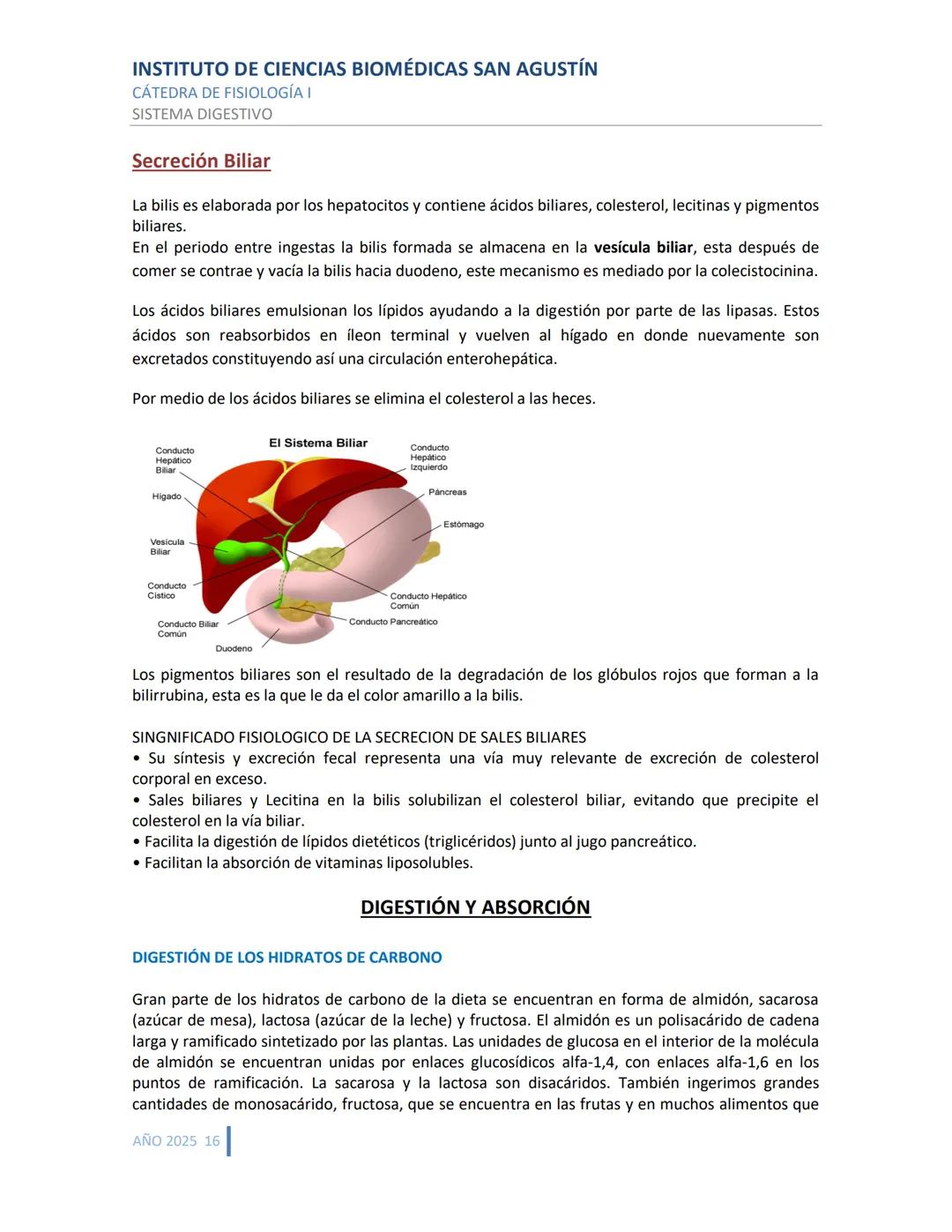 INSTITUTO DE CIENCIAS BIOMÉDICAS SAN AGUSTÍN
CÁTEDRA DE FISIOLOGÍA I
SISTEMA DIGESTIVO
SISTEMA DIGESTIVO
ESTRUCTURA Y FUNCIÓN GENERAL DEL TR