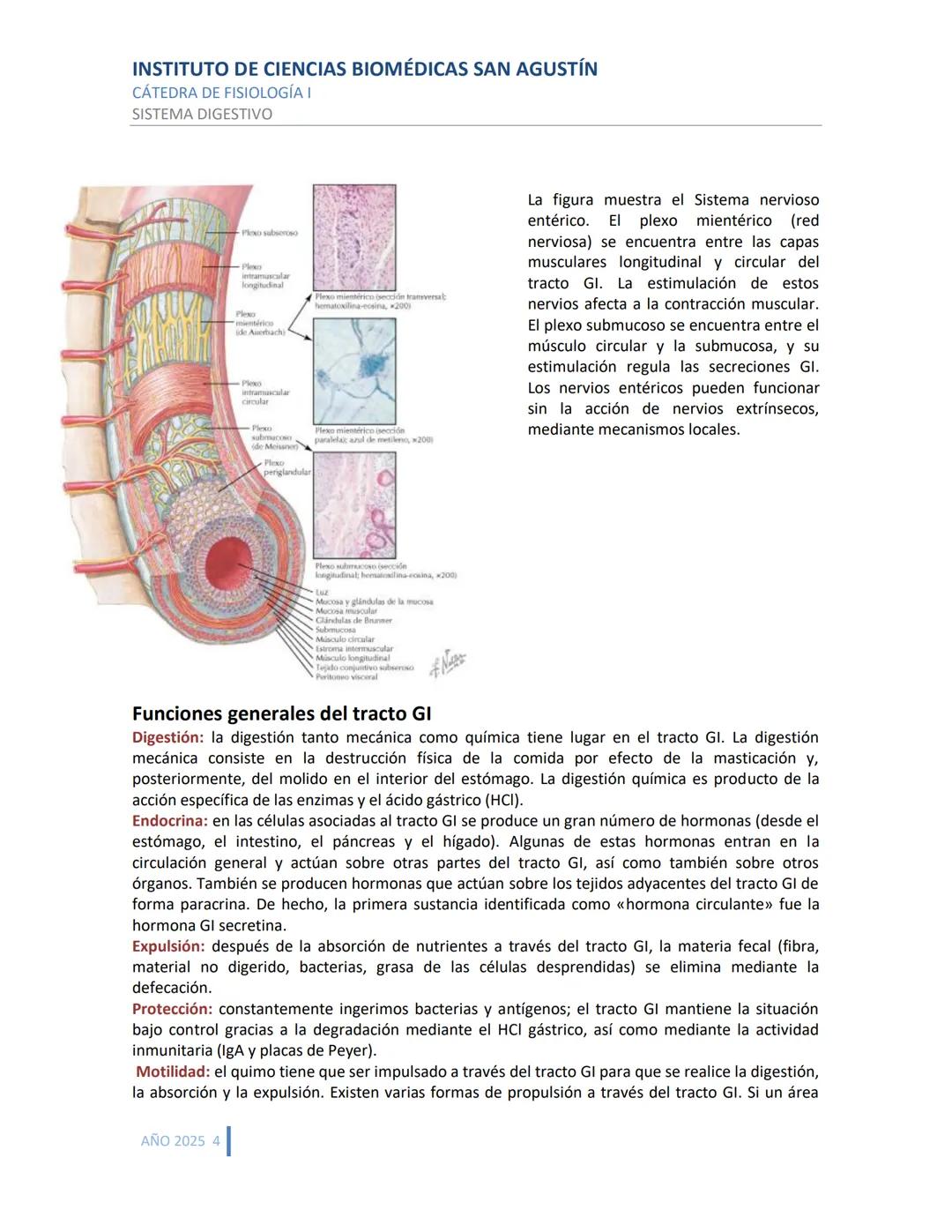 INSTITUTO DE CIENCIAS BIOMÉDICAS SAN AGUSTÍN
CÁTEDRA DE FISIOLOGÍA I
SISTEMA DIGESTIVO
SISTEMA DIGESTIVO
ESTRUCTURA Y FUNCIÓN GENERAL DEL TR