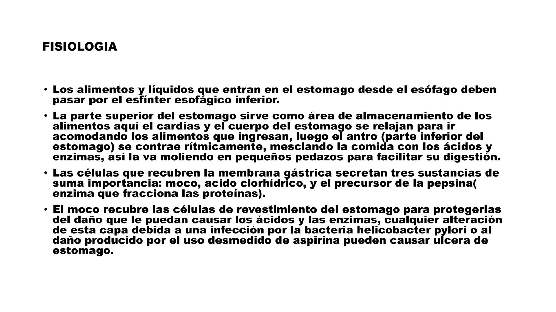 ESTOMAGO
ΑΝΑΤΟΜΙΑ
ESOPHAGUS
Cardial Notch/
Cardiac Notch
of the Stomach
Fundus
Cardia
Lesser Curvature
of the Stomach
Pylorus
DUODENUM
Body