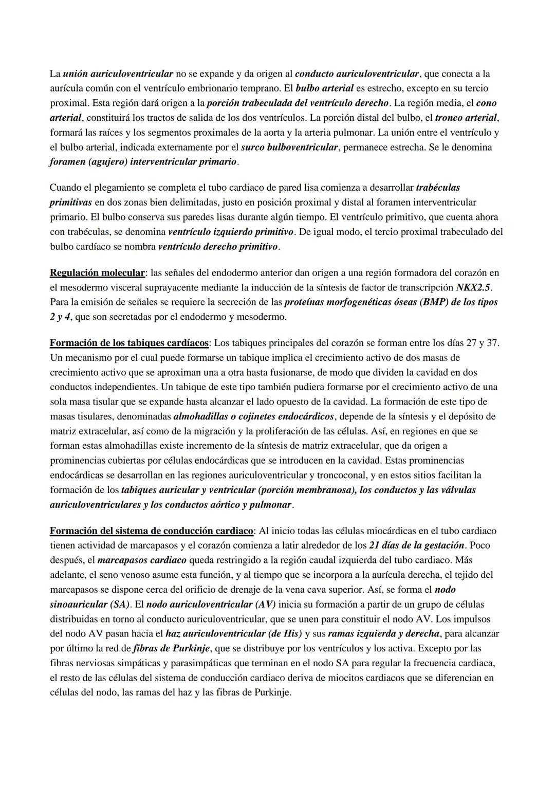 ## Embriologia de Corazon (Lagman)
El sistema vascular aparece a la mitad de la tercera semana. Las células cardíacas progenitoras se ubica