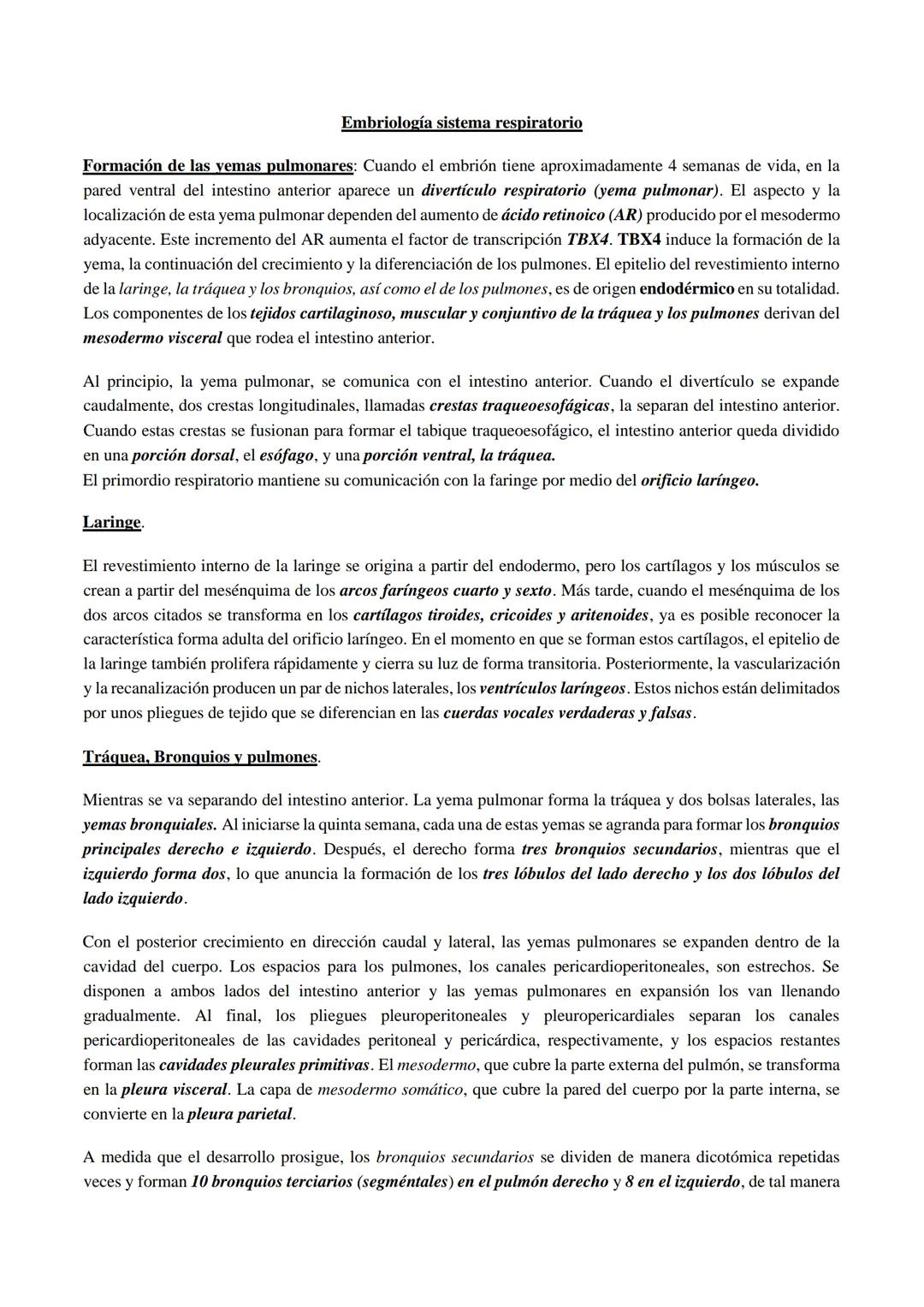 ## Embriologia de Corazon (Lagman)
El sistema vascular aparece a la mitad de la tercera semana. Las células cardíacas progenitoras se ubica