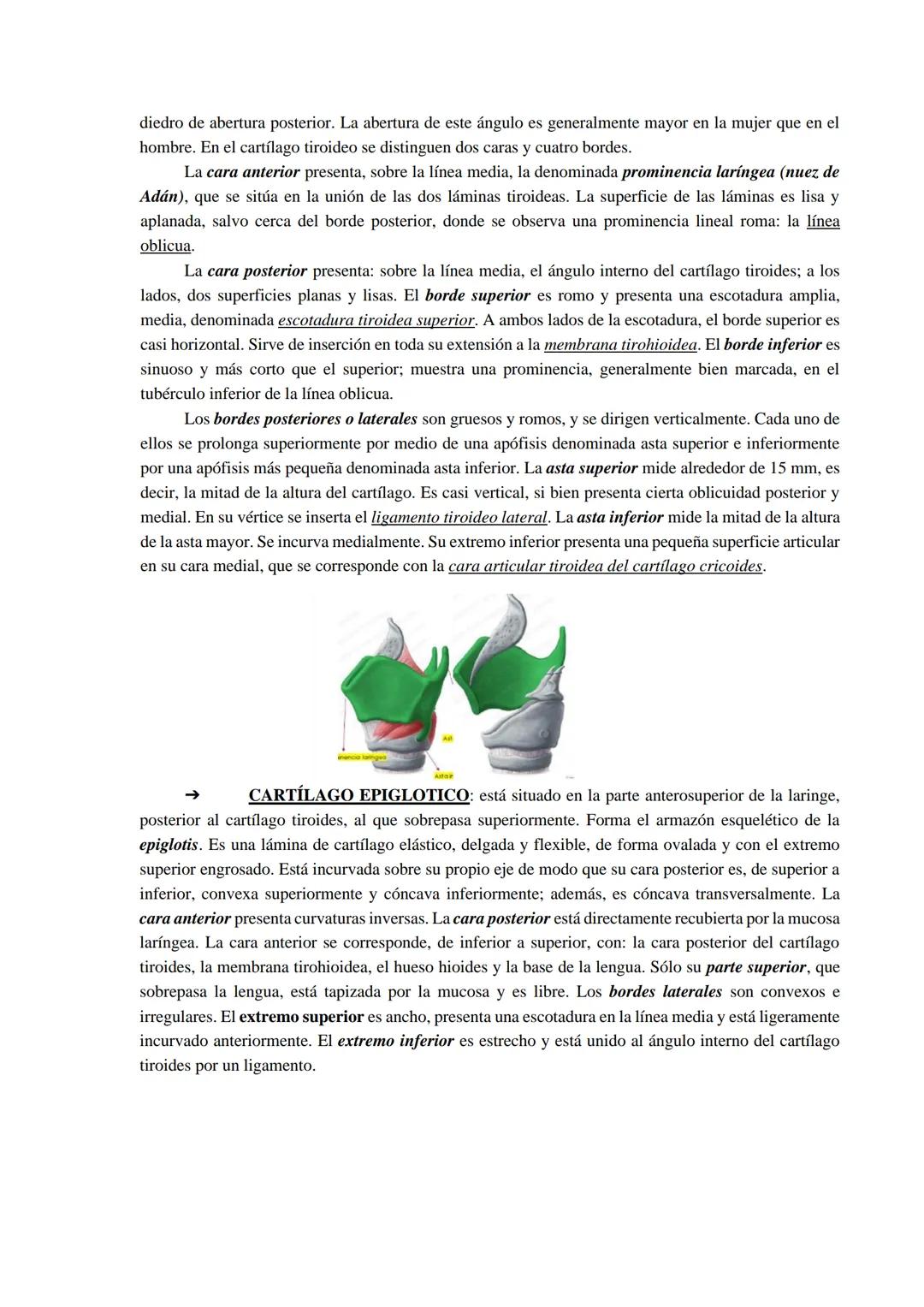 Aparato respiratorio
Está compuesto principalmente por las cavidades nasales, faringe, laringe, tráquea, bronquios y
pulmones.
Cavidades nas