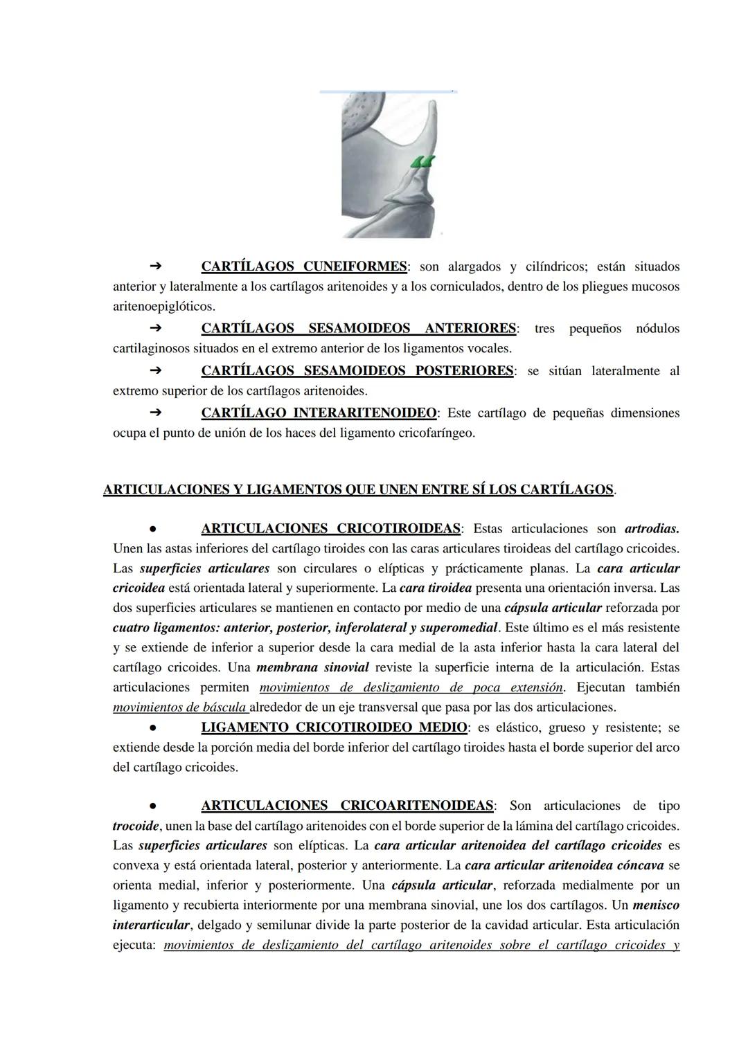 Aparato respiratorio
Está compuesto principalmente por las cavidades nasales, faringe, laringe, tráquea, bronquios y
pulmones.
Cavidades nas