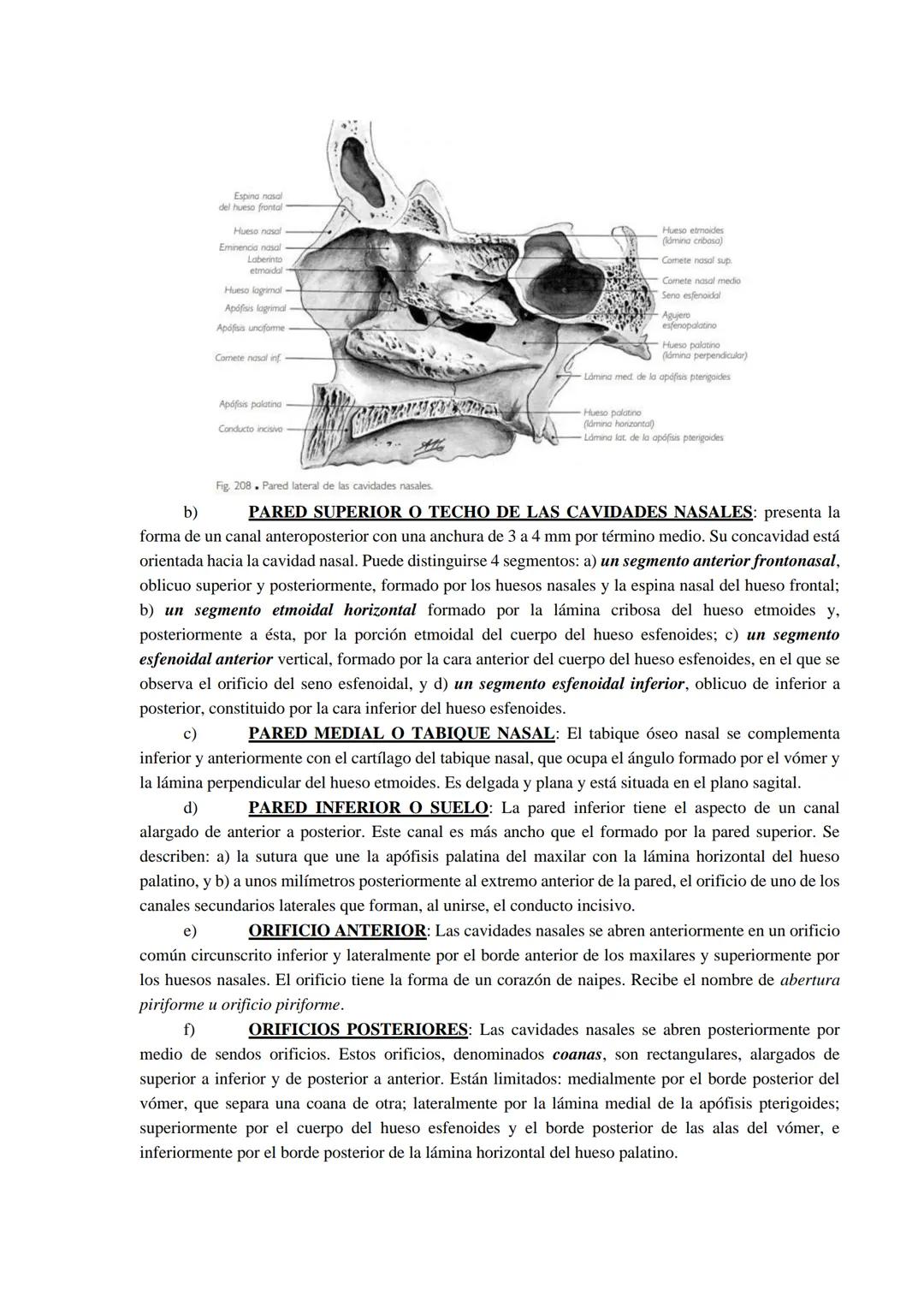 Aparato respiratorio
Está compuesto principalmente por las cavidades nasales, faringe, laringe, tráquea, bronquios y
pulmones.
Cavidades nas