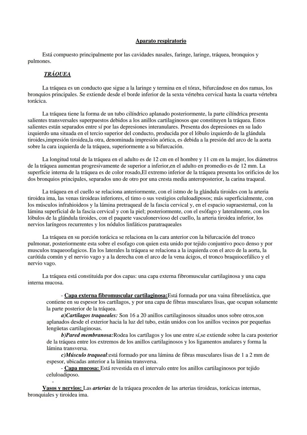 Aparato respiratorio
Está compuesto principalmente por las cavidades nasales, faringe, laringe, tráquea, bronquios y
pulmones.
TRÁQUEA
La tr