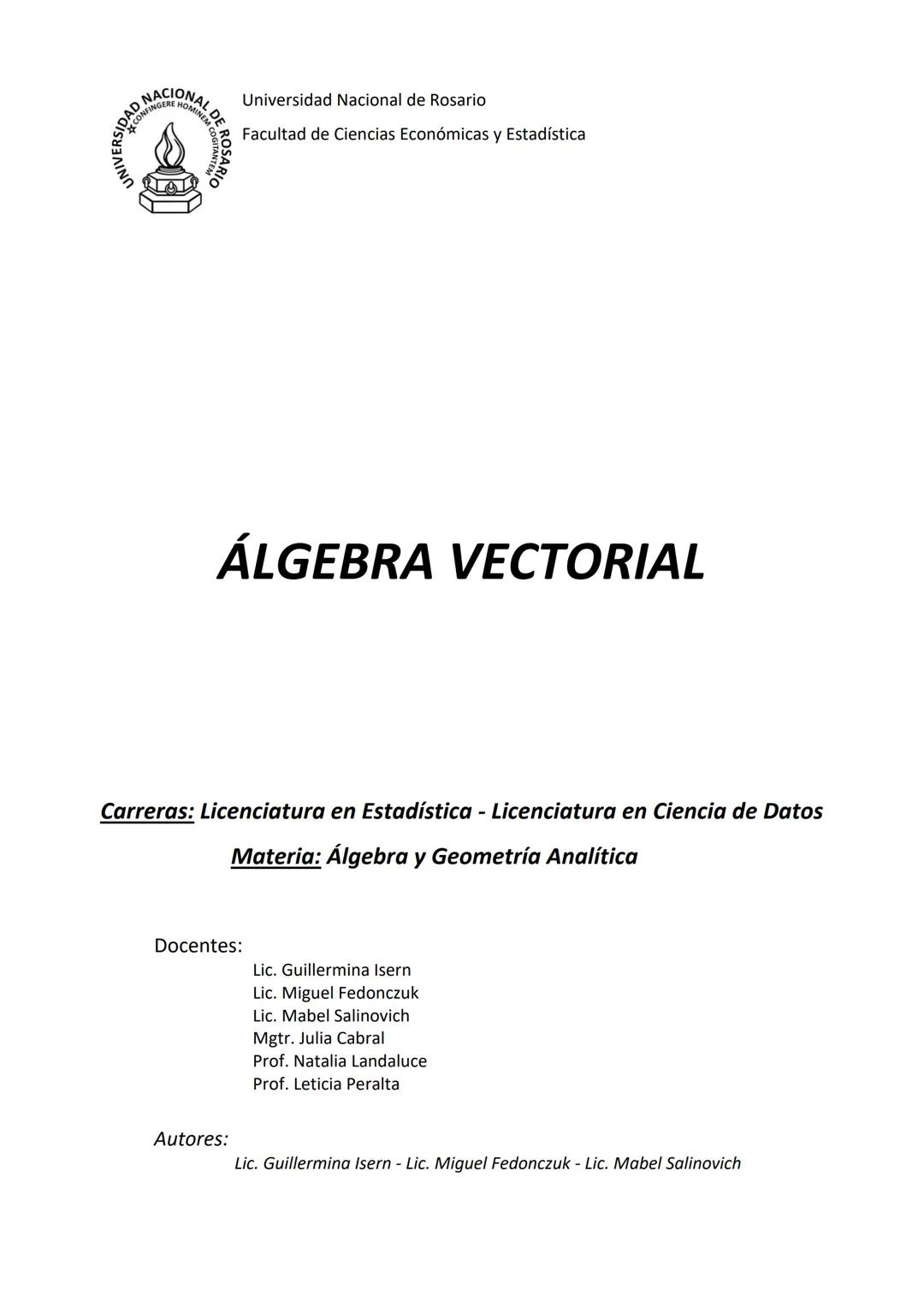 # ÁLGEBRA VECTORIAL
Universidad Nacional de Rosario
Facultad de Ciencias Económicas y Estadística
Carreras: Licenciatura en Estadística -