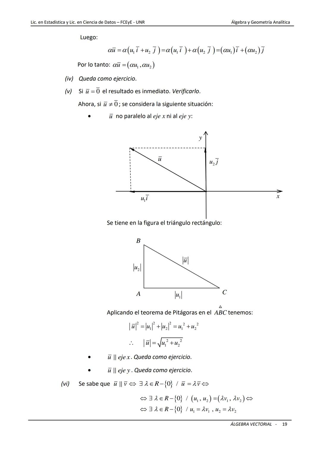 # ÁLGEBRA VECTORIAL
Universidad Nacional de Rosario
Facultad de Ciencias Económicas y Estadística
Carreras: Licenciatura en Estadística -