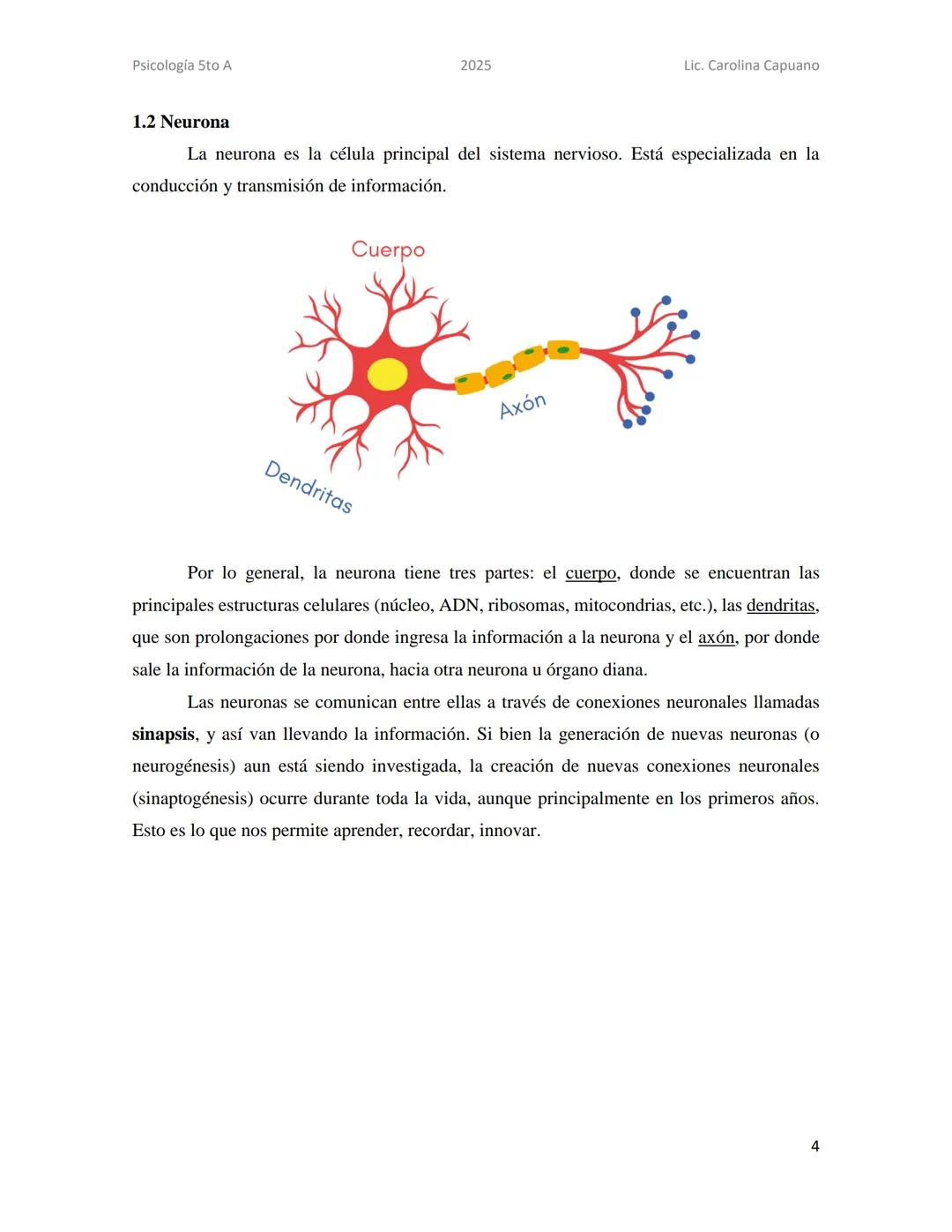 Psicología 5to A
2025
Lic. Carolina Capuano
Unidad 2: Teorías sobre la mente
En esta unidad, recorreremos 4 teorías que desde su perspectiva