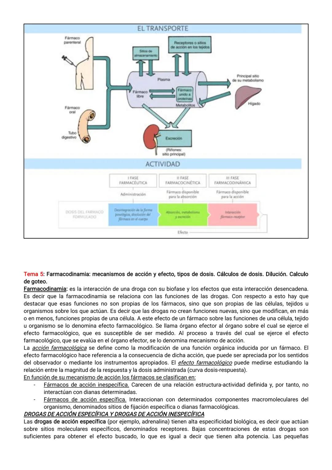 EJE 1: FUNDAMENTO DEL CUIDADO DE ENFERMERÍA
Tema 1: Enfermería en Salud y Enfermedad
El profesional de enfermería debe considerar al individ
