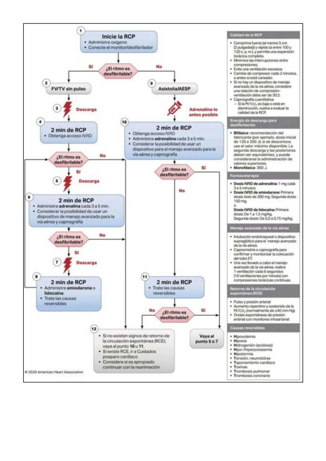 EJE 1: FUNDAMENTO DEL CUIDADO DE ENFERMERÍA
Tema 1: Enfermería en Salud y Enfermedad
El profesional de enfermería debe considerar al individ