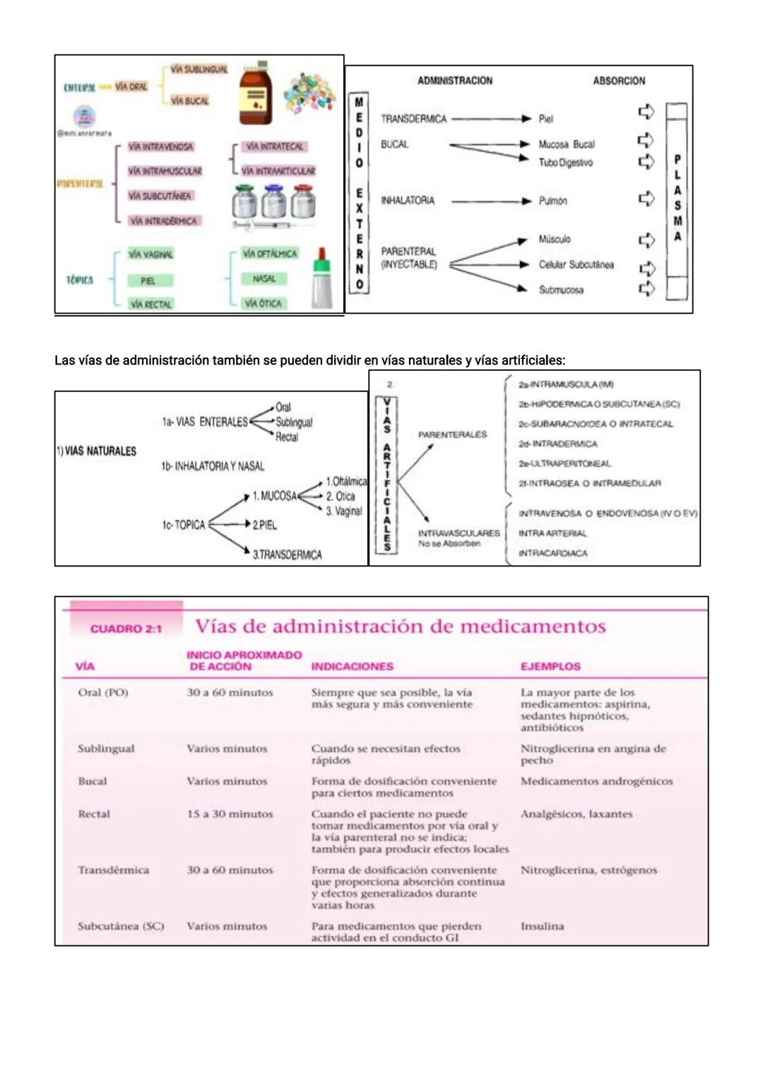 EJE 1: FUNDAMENTO DEL CUIDADO DE ENFERMERÍA
Tema 1: Enfermería en Salud y Enfermedad
El profesional de enfermería debe considerar al individ