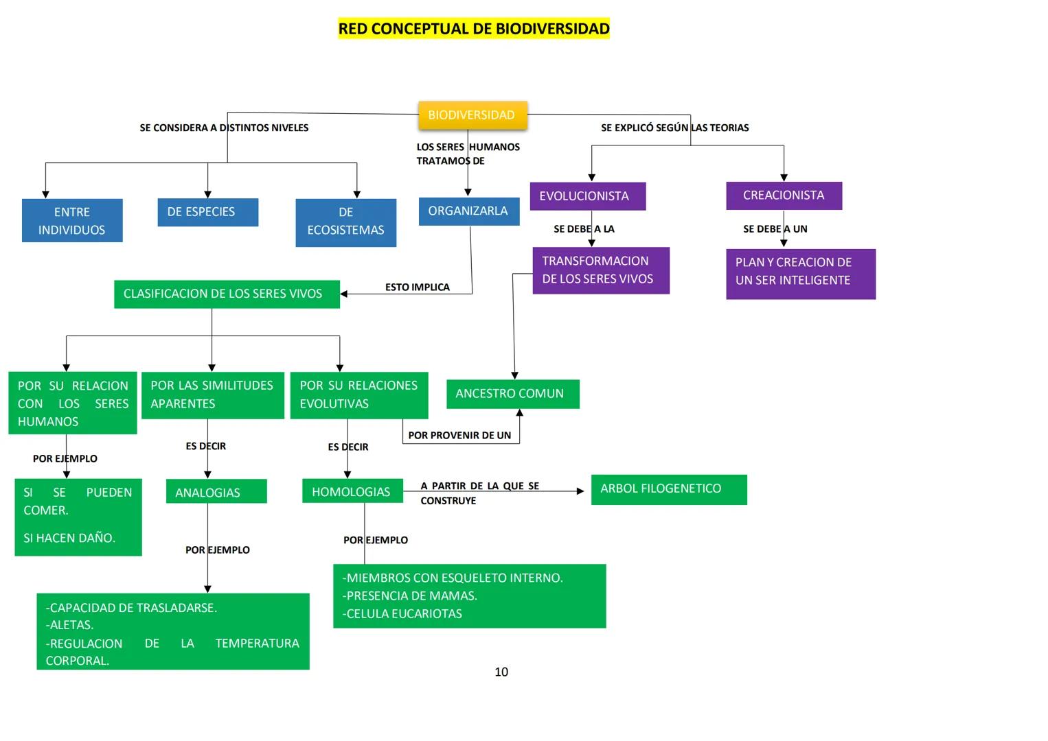 # BIOLOGÍA
## 2º AÑO
Instituto Evangélico Los Pinares
Profesora Sara Ruth Benitez
2025 Resumen de seres vivos
Los seres vivos son sistema