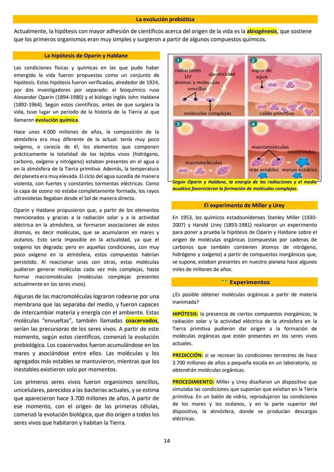 # BIOLOGÍA
## 2º AÑO
Instituto Evangélico Los Pinares
Profesora Sara Ruth Benitez
2025 Resumen de seres vivos
Los seres vivos son sistema
