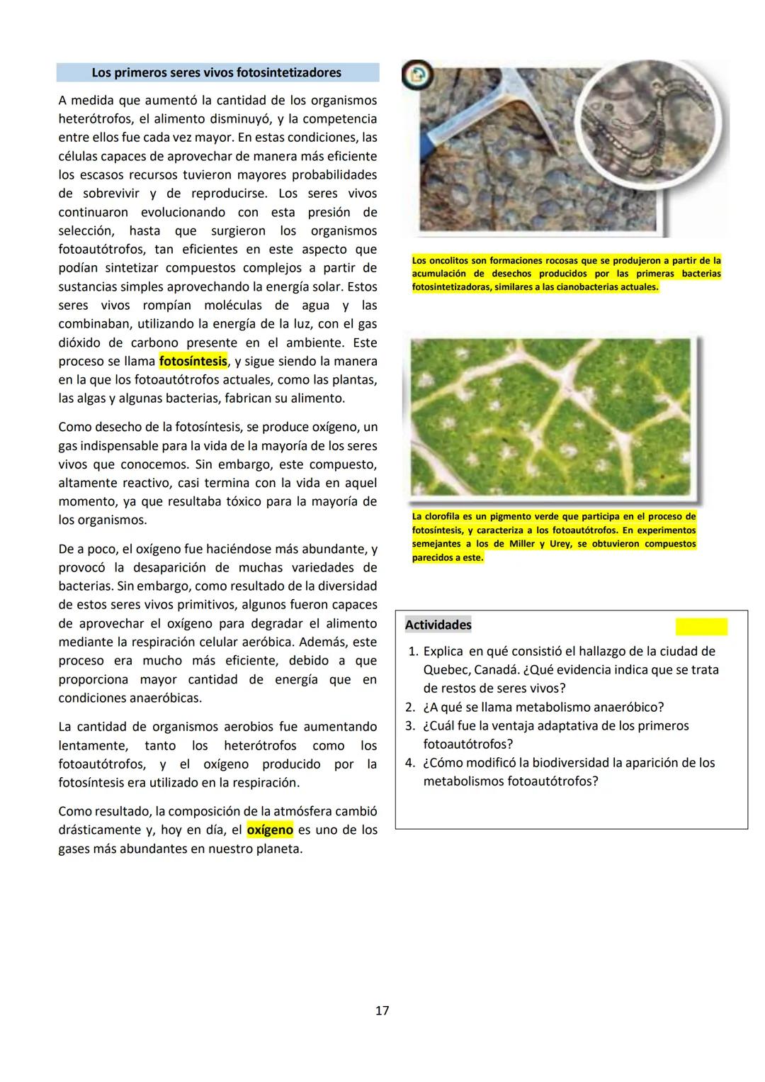 # BIOLOGÍA
## 2º AÑO
Instituto Evangélico Los Pinares
Profesora Sara Ruth Benitez
2025 Resumen de seres vivos
Los seres vivos son sistema