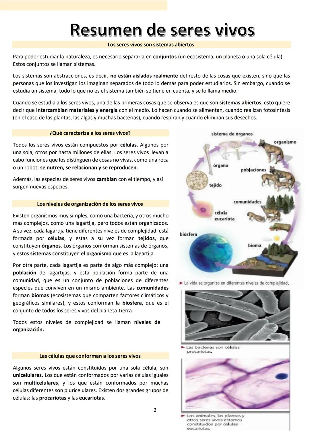 # BIOLOGÍA
## 2º AÑO
Instituto Evangélico Los Pinares
Profesora Sara Ruth Benitez
2025 Resumen de seres vivos
Los seres vivos son sistema