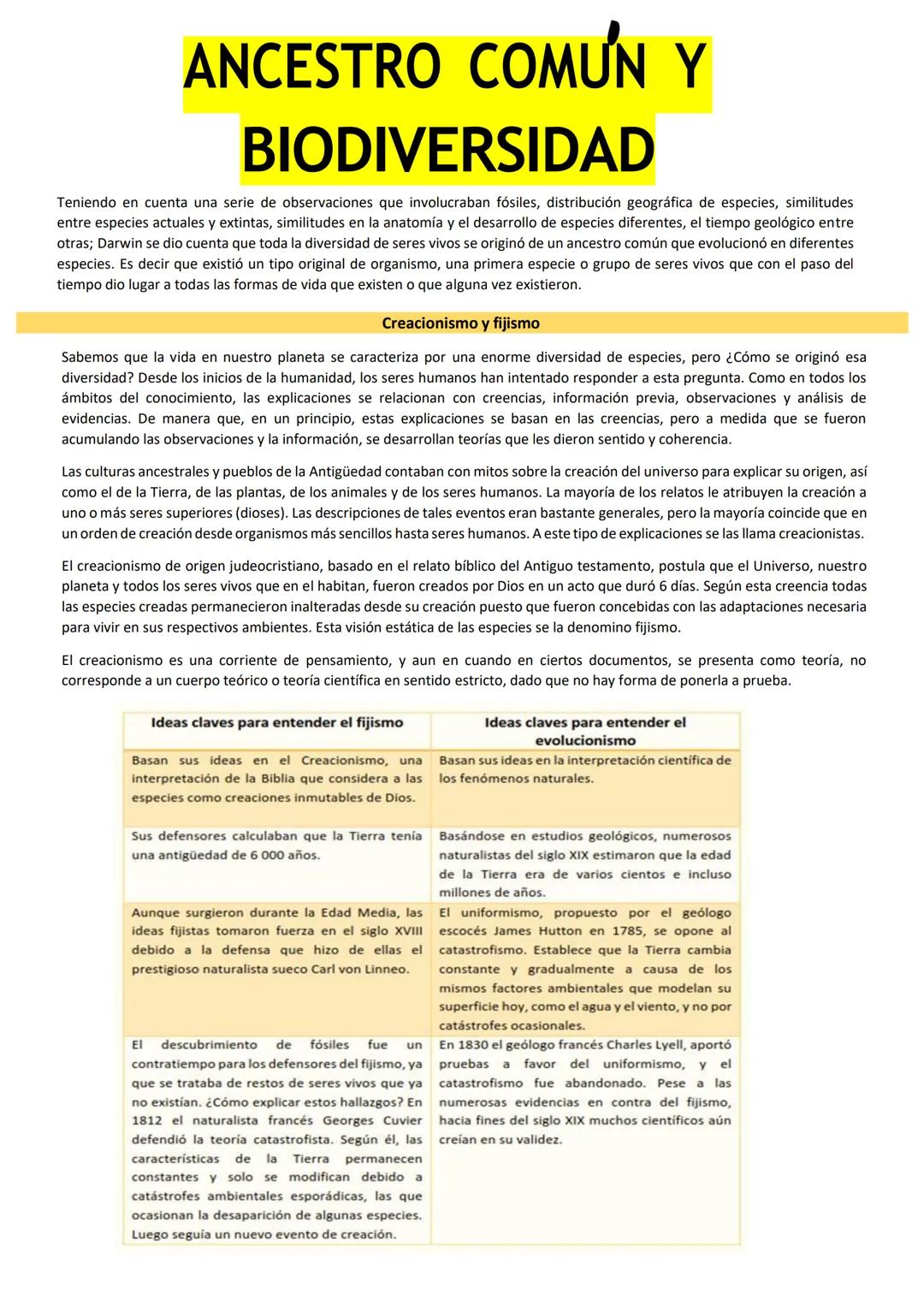 # BIOLOGÍA
## 2º AÑO
Instituto Evangélico Los Pinares
Profesora Sara Ruth Benitez
2025 Resumen de seres vivos
Los seres vivos son sistema
