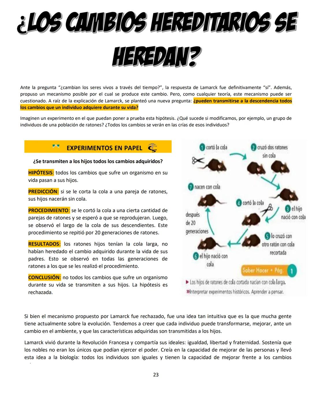 # BIOLOGÍA
## 2º AÑO
Instituto Evangélico Los Pinares
Profesora Sara Ruth Benitez
2025 Resumen de seres vivos
Los seres vivos son sistema