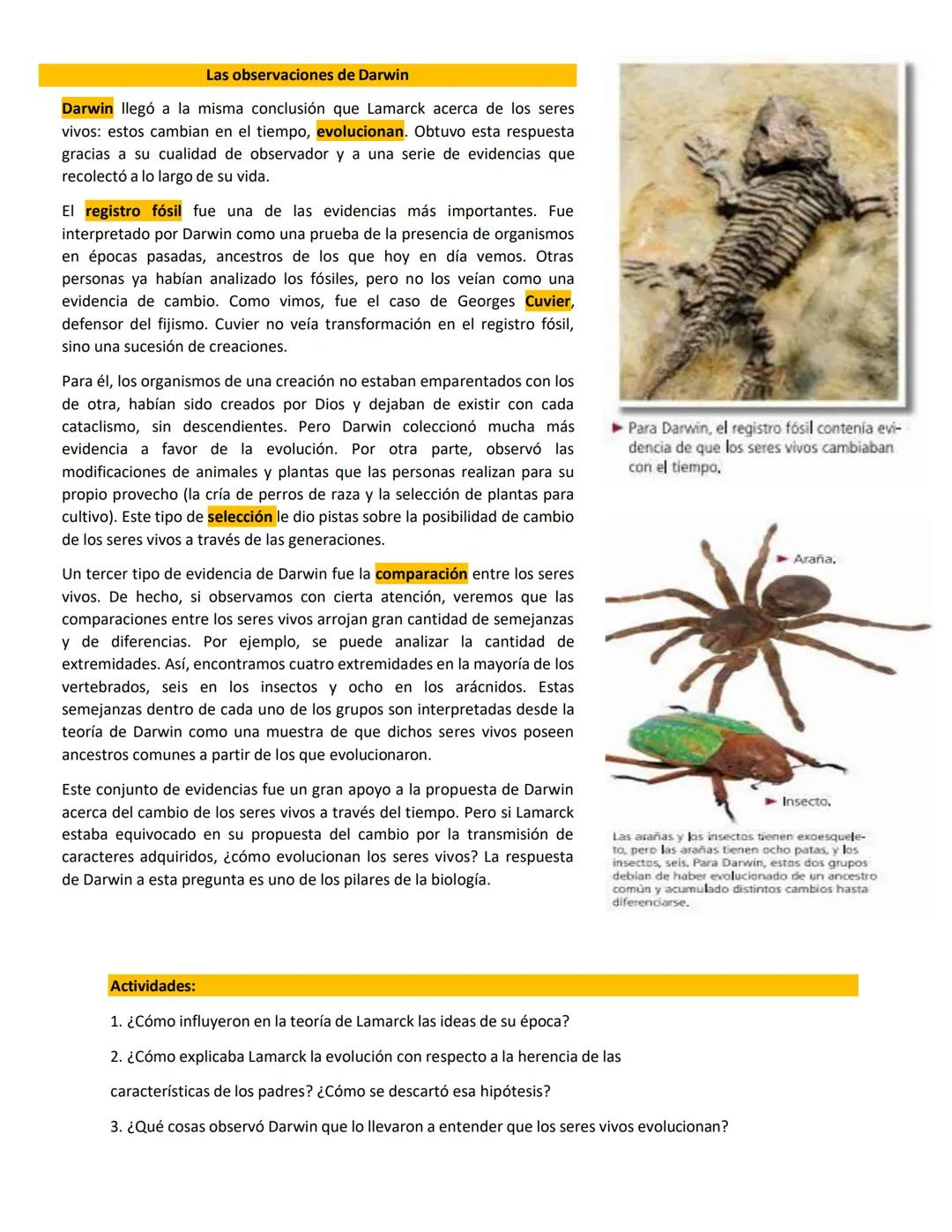 # BIOLOGÍA
## 2º AÑO
Instituto Evangélico Los Pinares
Profesora Sara Ruth Benitez
2025 Resumen de seres vivos
Los seres vivos son sistema