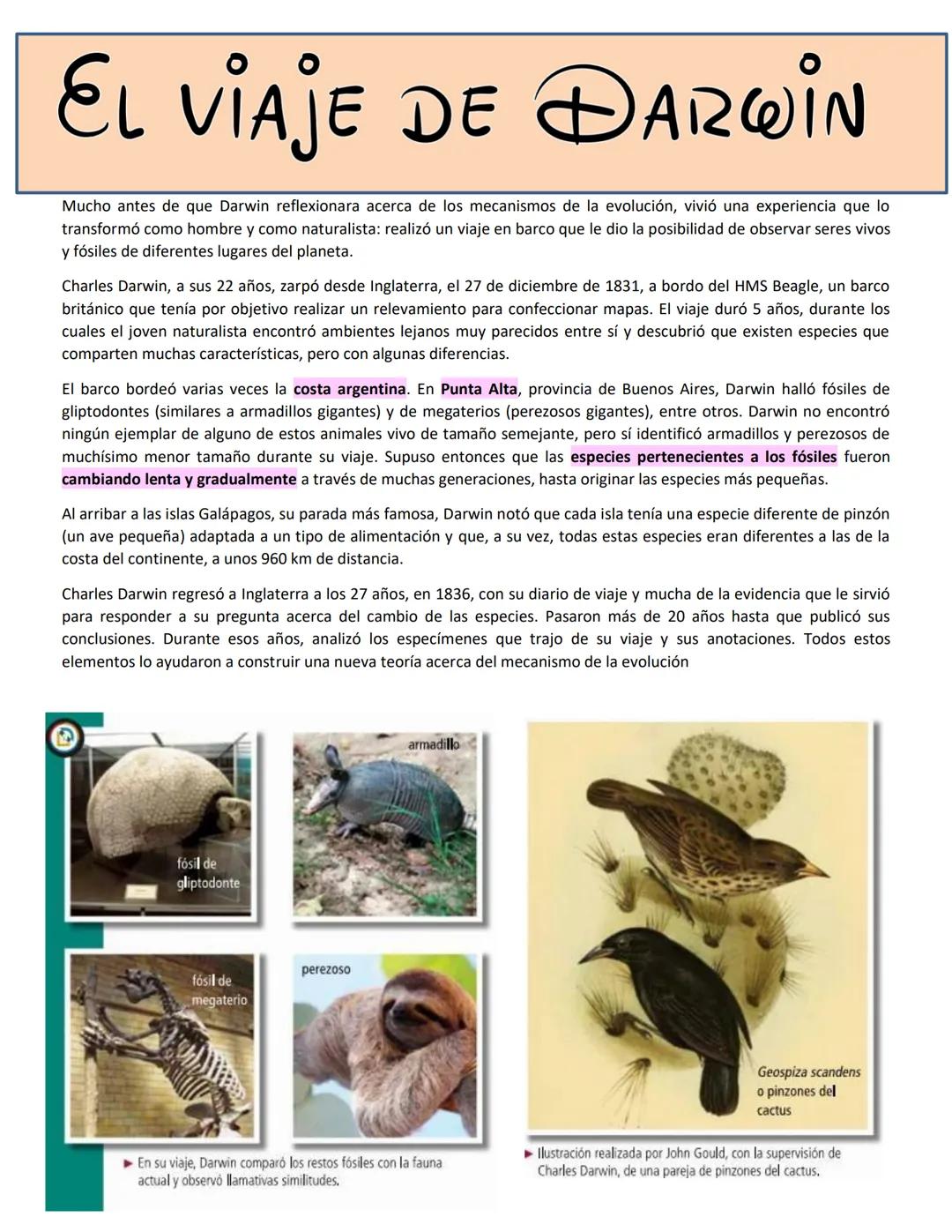 # BIOLOGÍA
## 2º AÑO
Instituto Evangélico Los Pinares
Profesora Sara Ruth Benitez
2025 Resumen de seres vivos
Los seres vivos son sistema