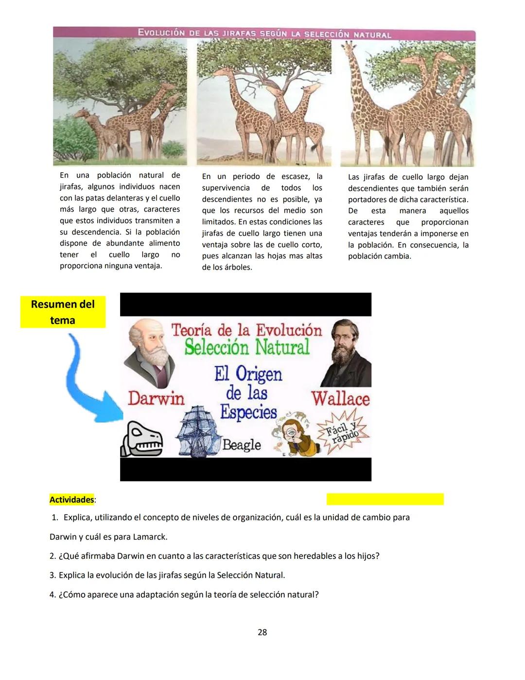 # BIOLOGÍA
## 2º AÑO
Instituto Evangélico Los Pinares
Profesora Sara Ruth Benitez
2025 Resumen de seres vivos
Los seres vivos son sistema