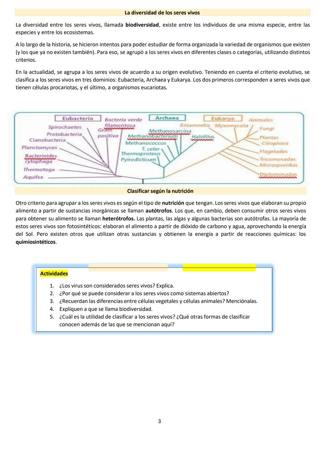 # BIOLOGÍA
## 2º AÑO
Instituto Evangélico Los Pinares
Profesora Sara Ruth Benitez
2025 Resumen de seres vivos
Los seres vivos son sistema