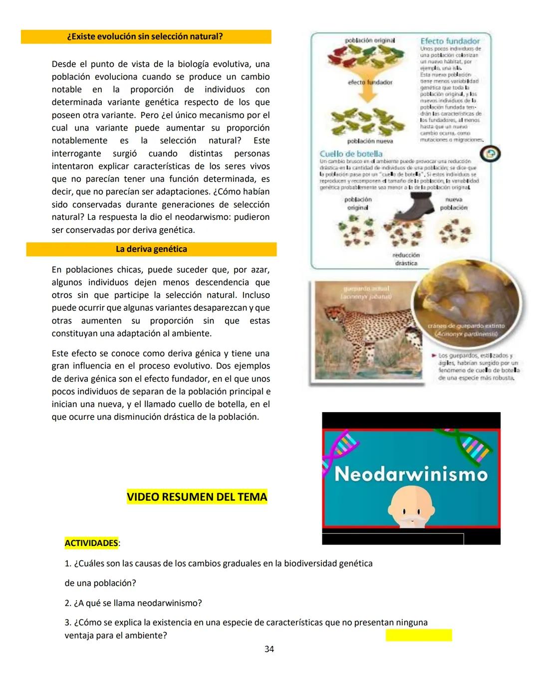 # BIOLOGÍA
## 2º AÑO
Instituto Evangélico Los Pinares
Profesora Sara Ruth Benitez
2025 Resumen de seres vivos
Los seres vivos son sistema